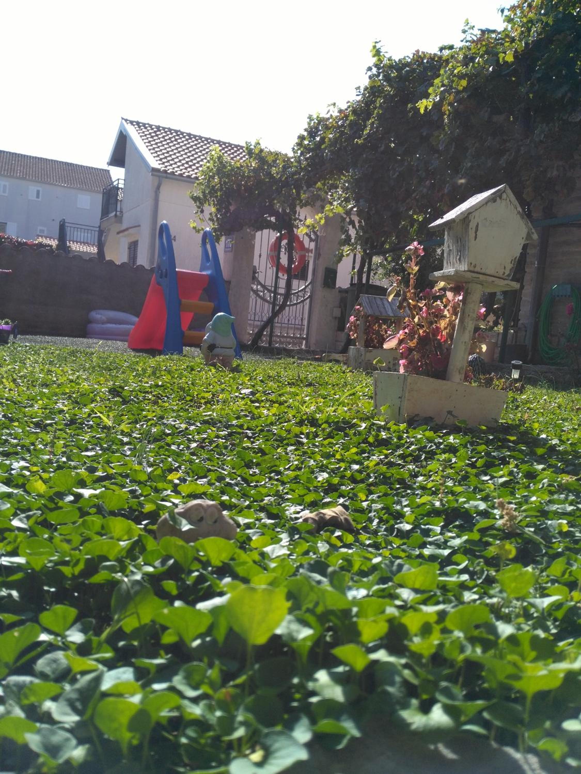 Photo 46