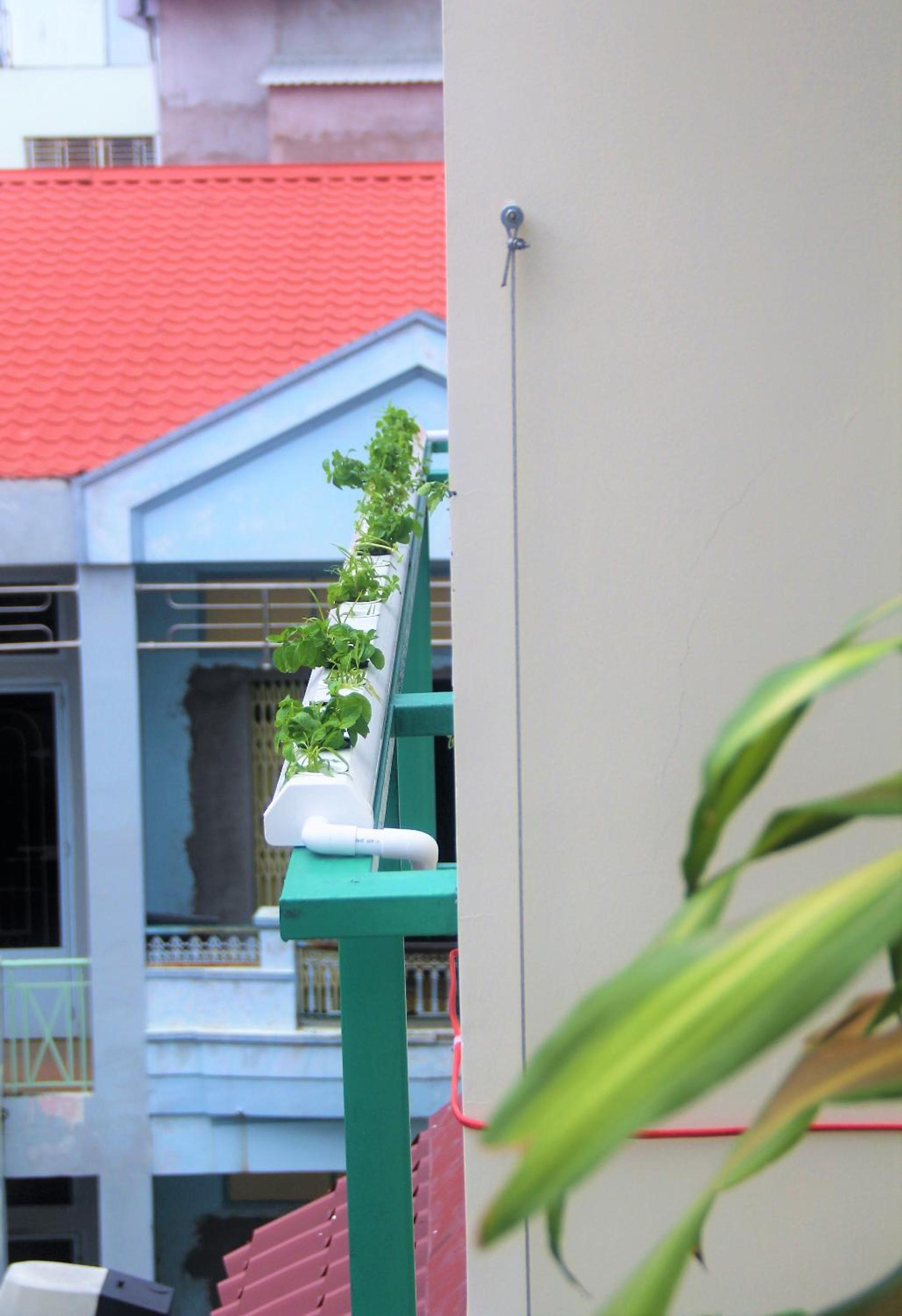 Winter Spring Homestay