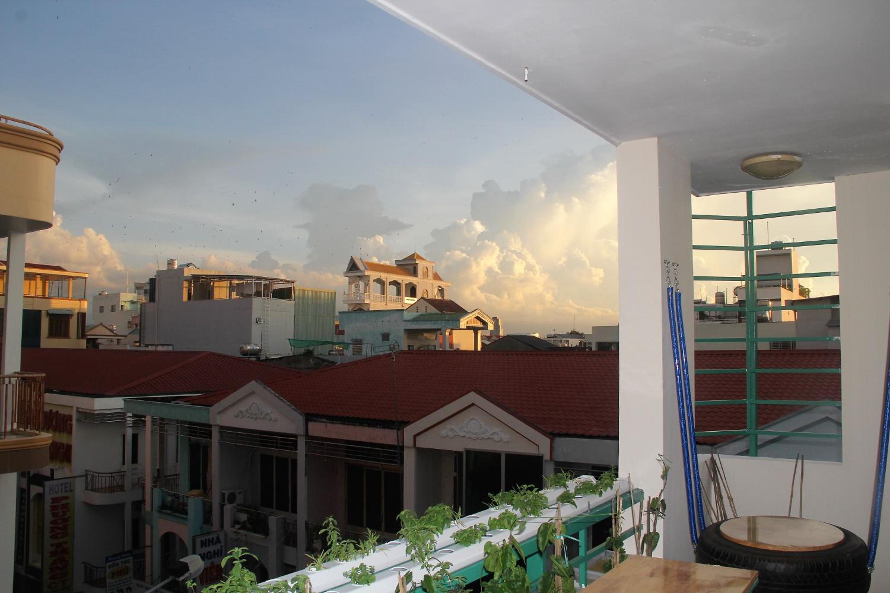 Winter Spring Homestay
