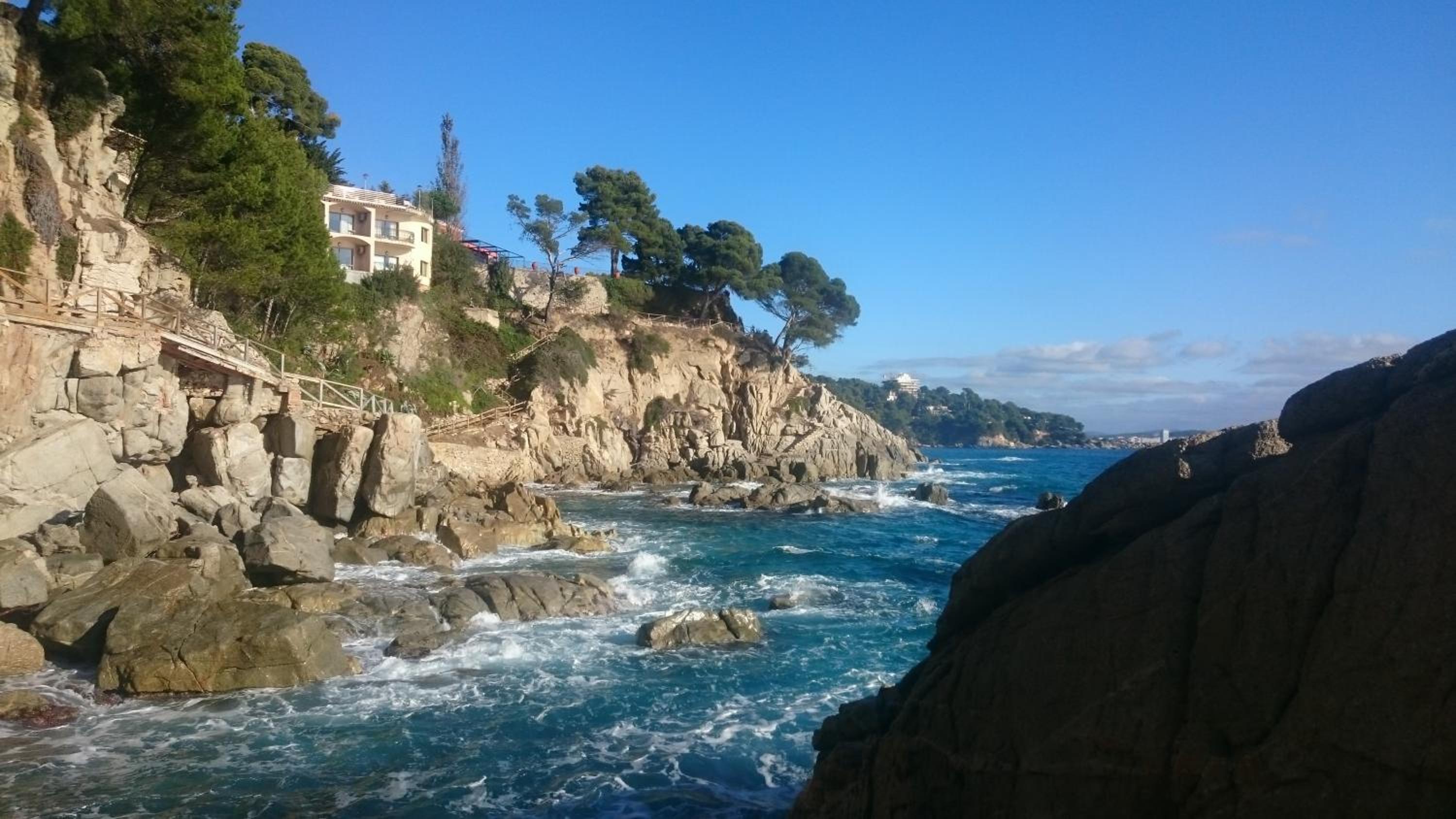 Photo 19