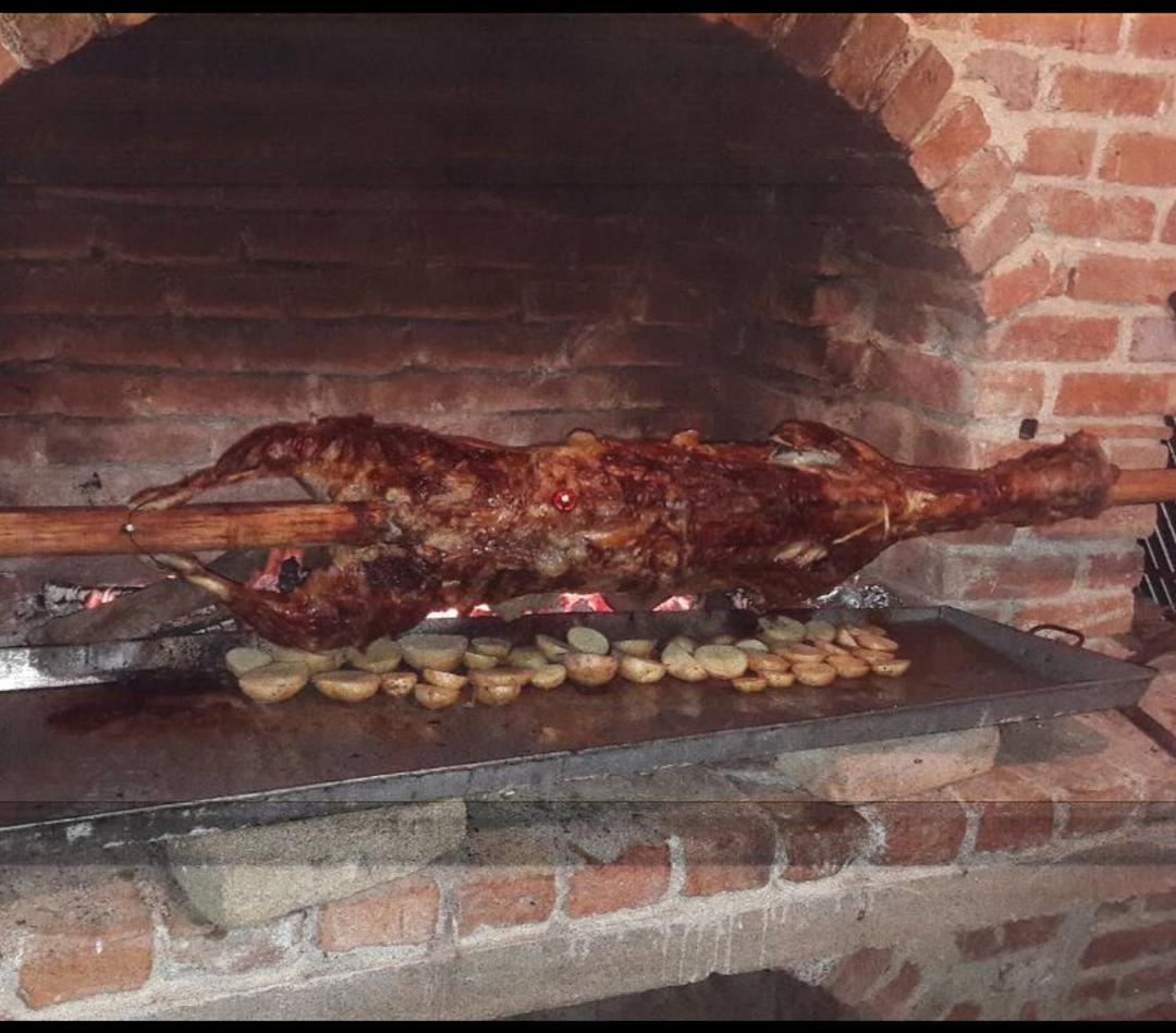 Photo 19