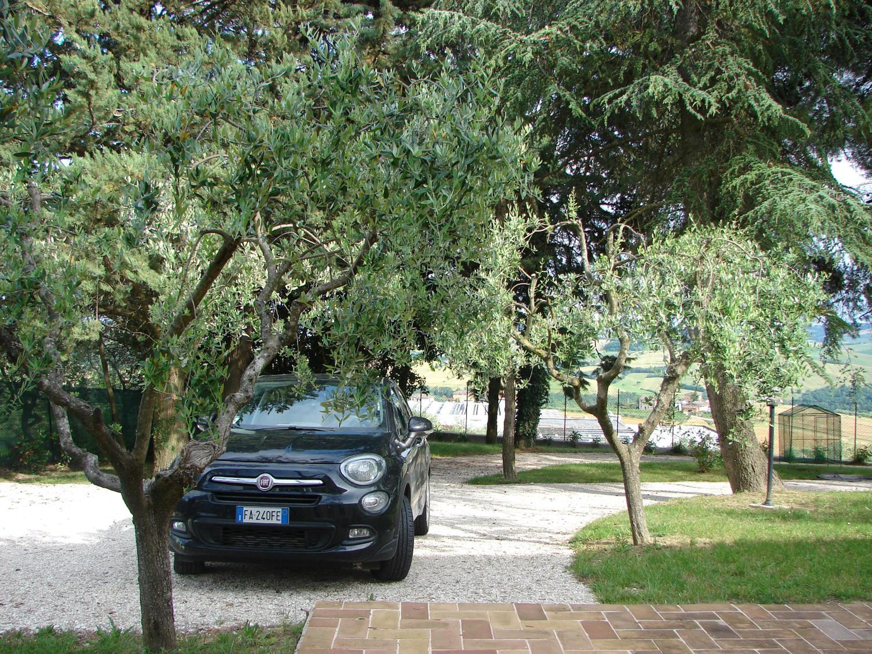 parking