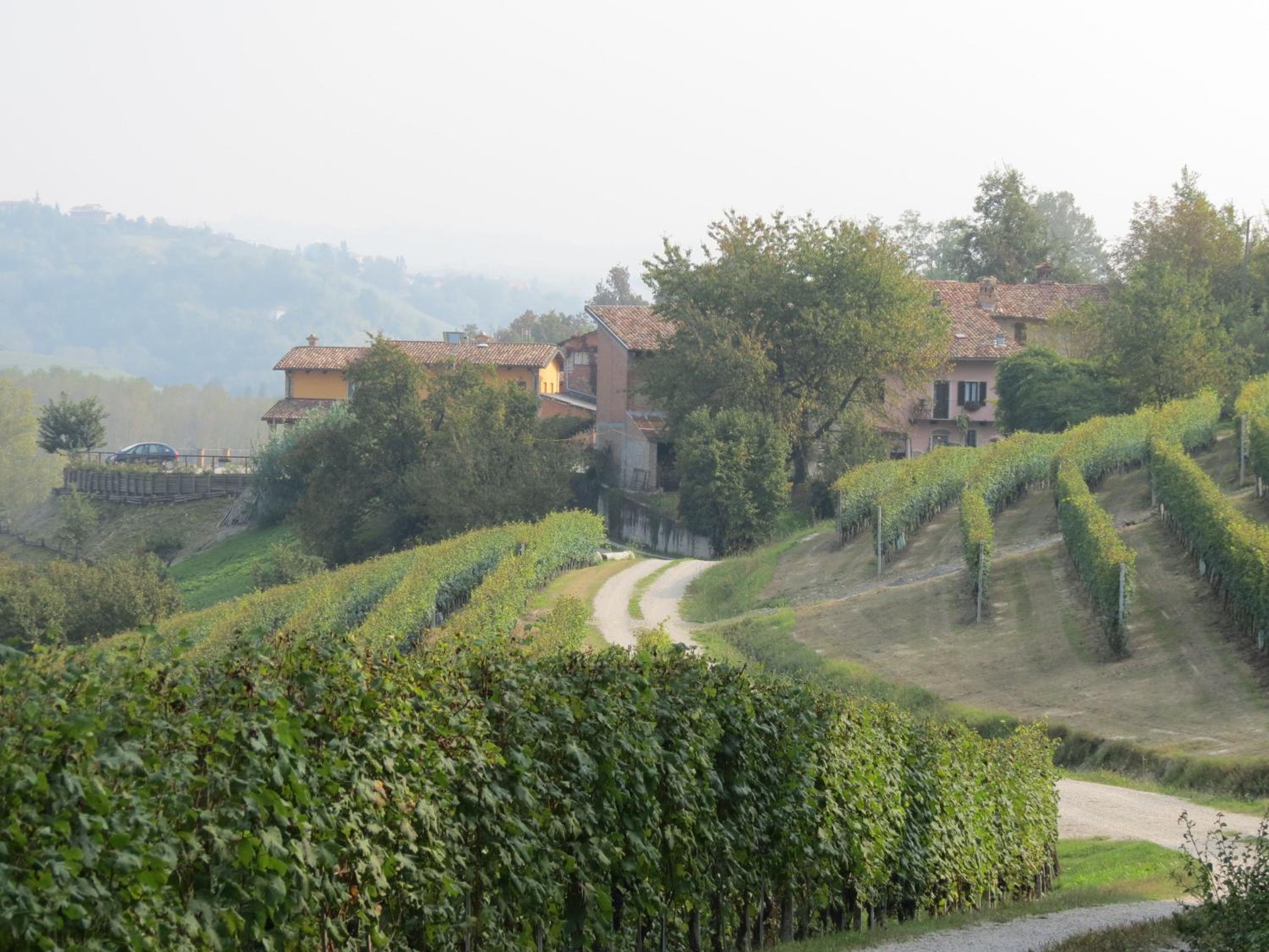 Residenza Albatros