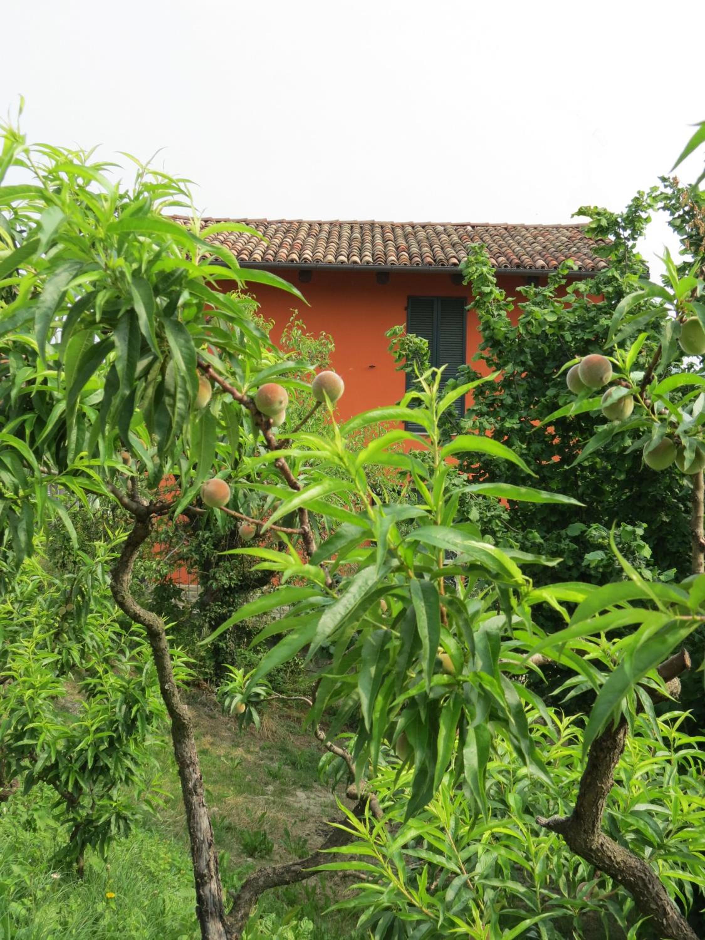 Residenza Albatros