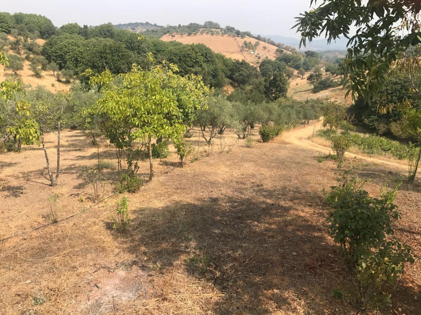 Casa rural en Constantina view 4