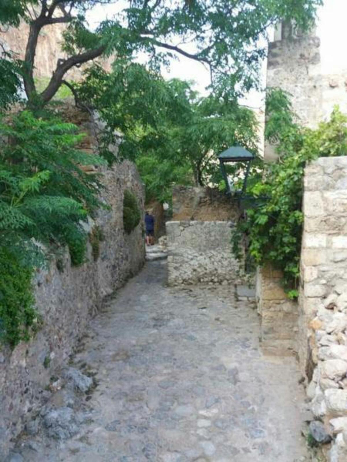 Photo 48