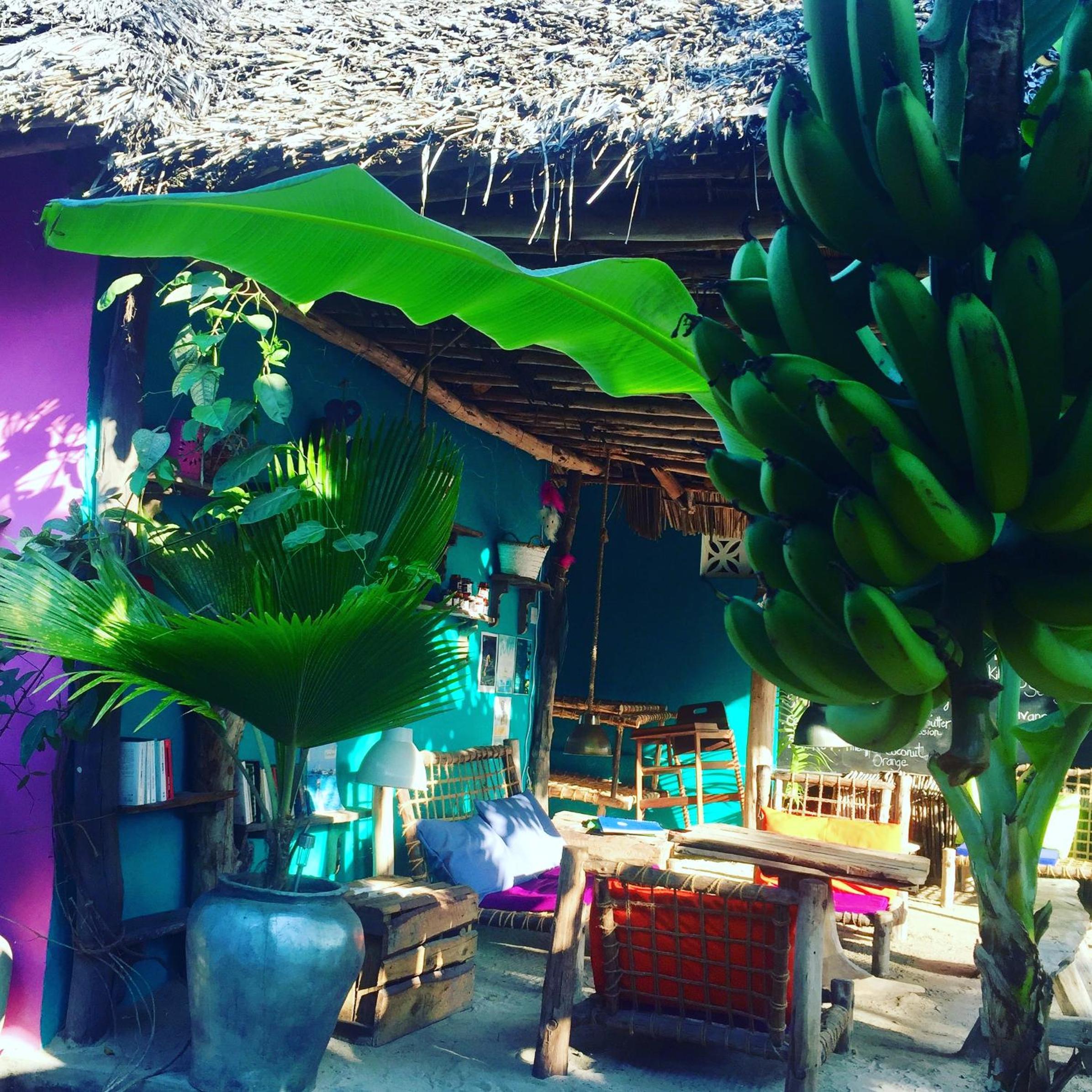 Zanzistar Lodge