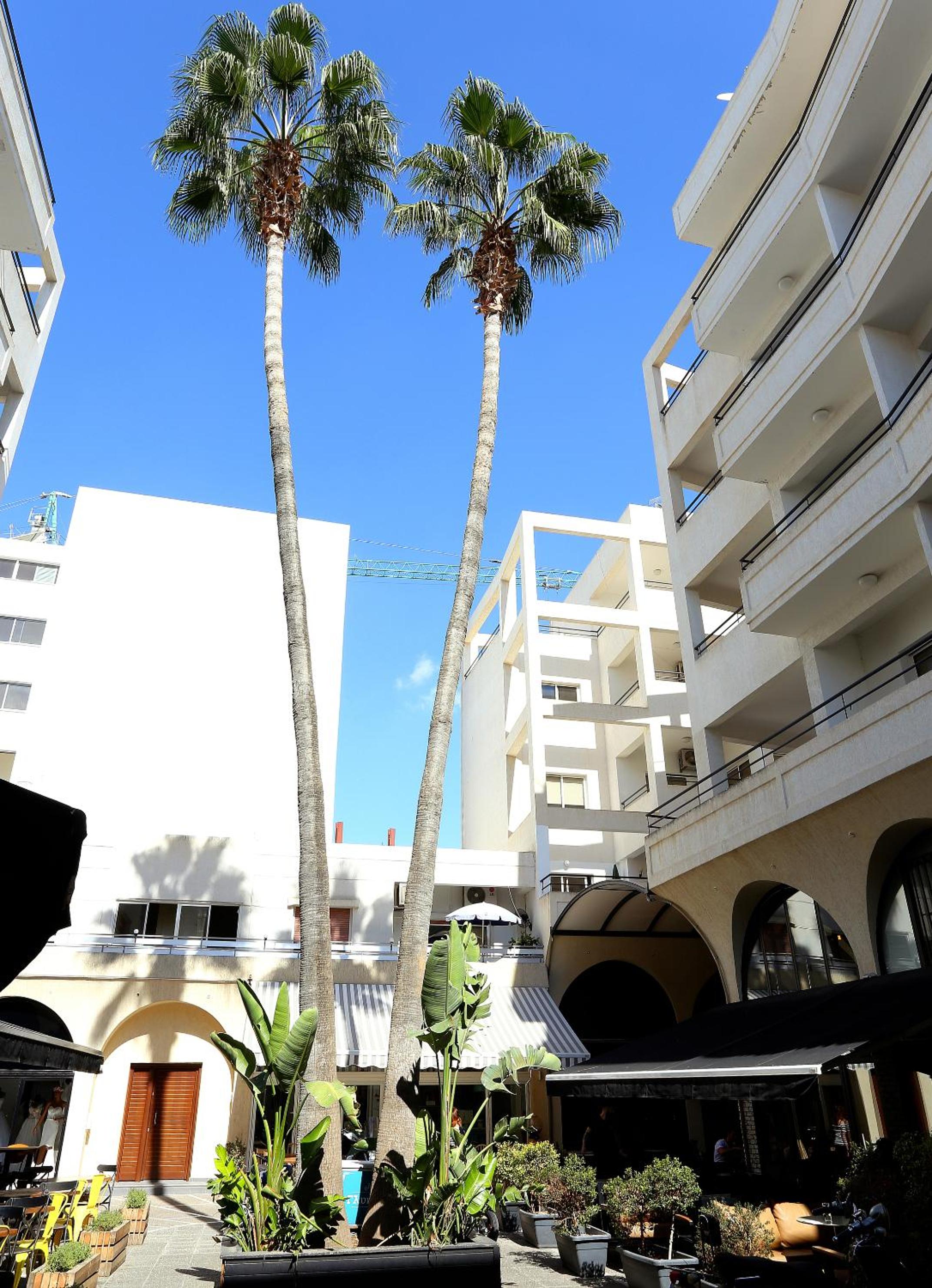 Penelope Court Apartment 102