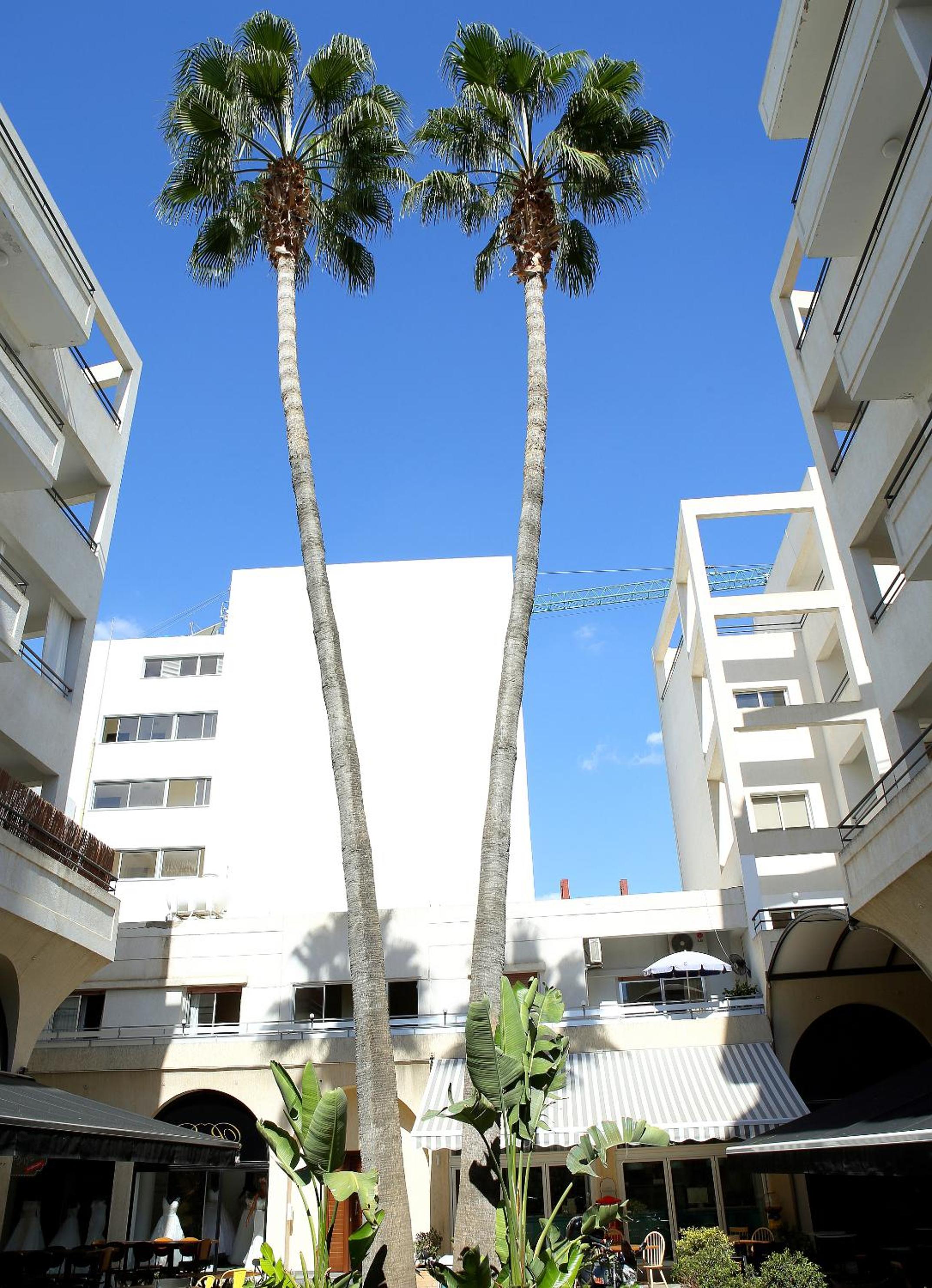 Penelope Court Apartment 102