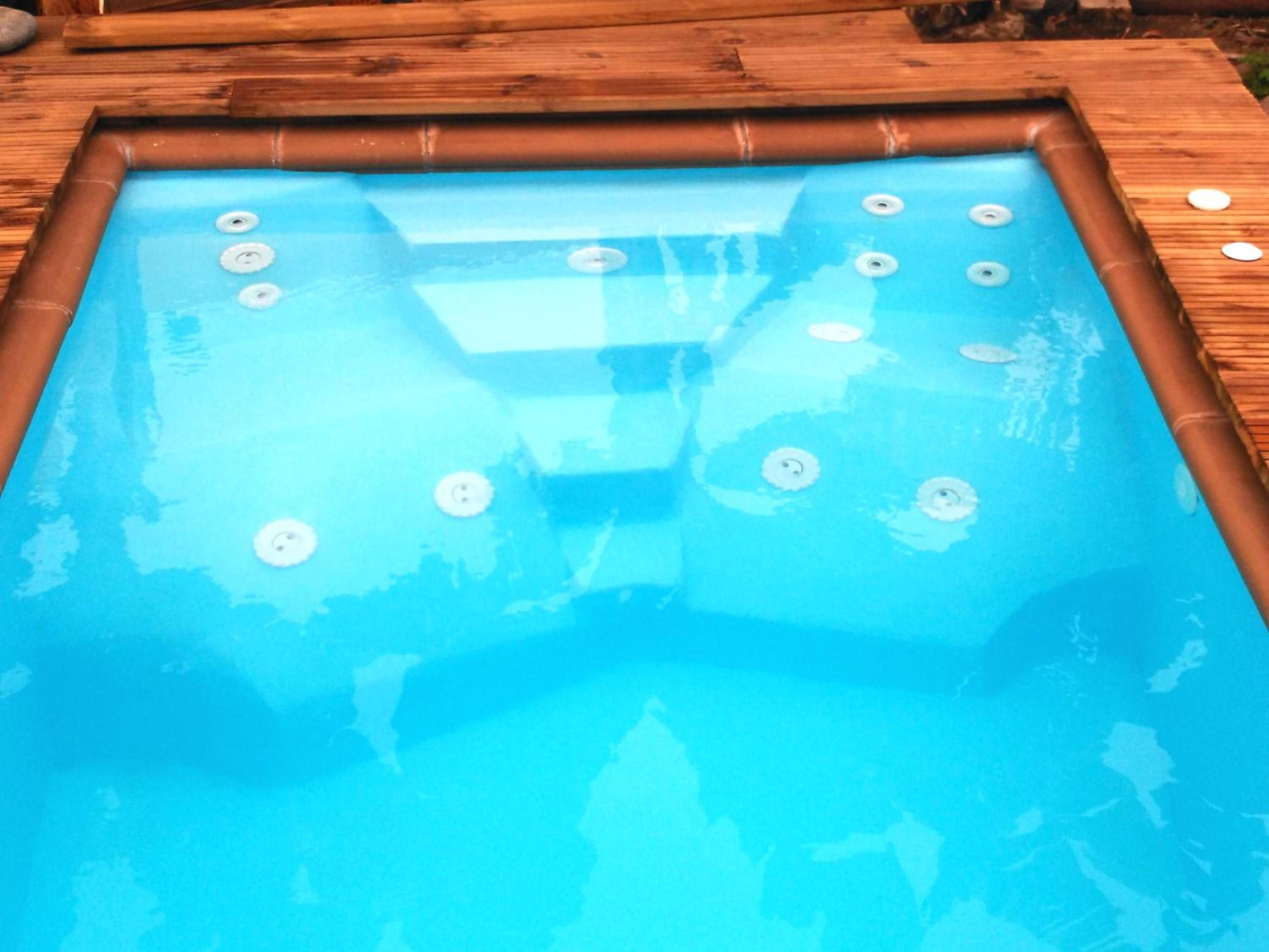 Villa Canaria piscina jacuzzi jardín photo 5