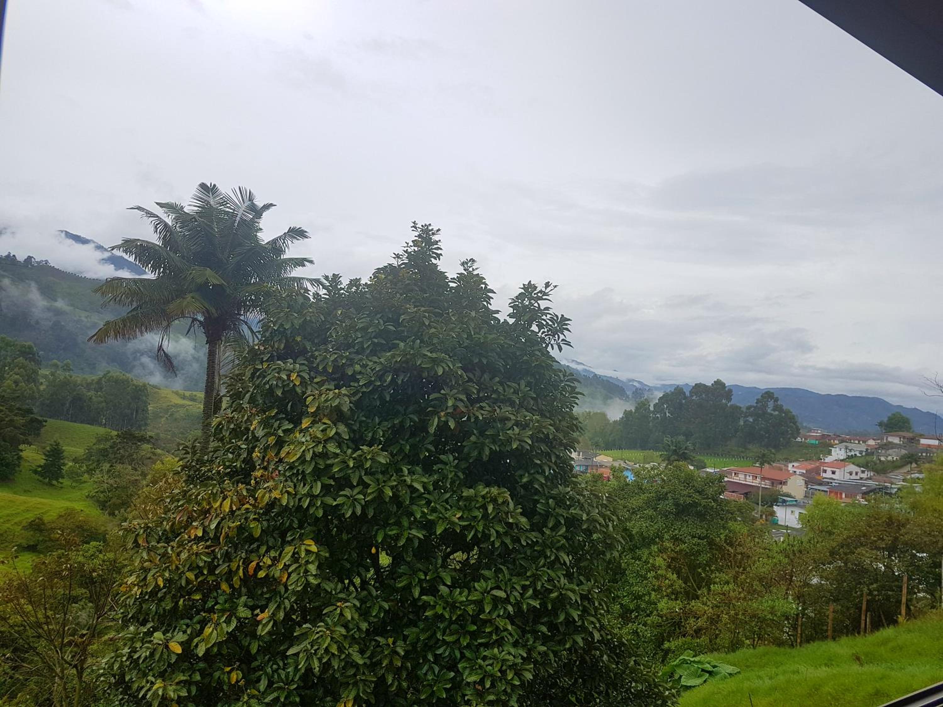 Mirador de los Cedros