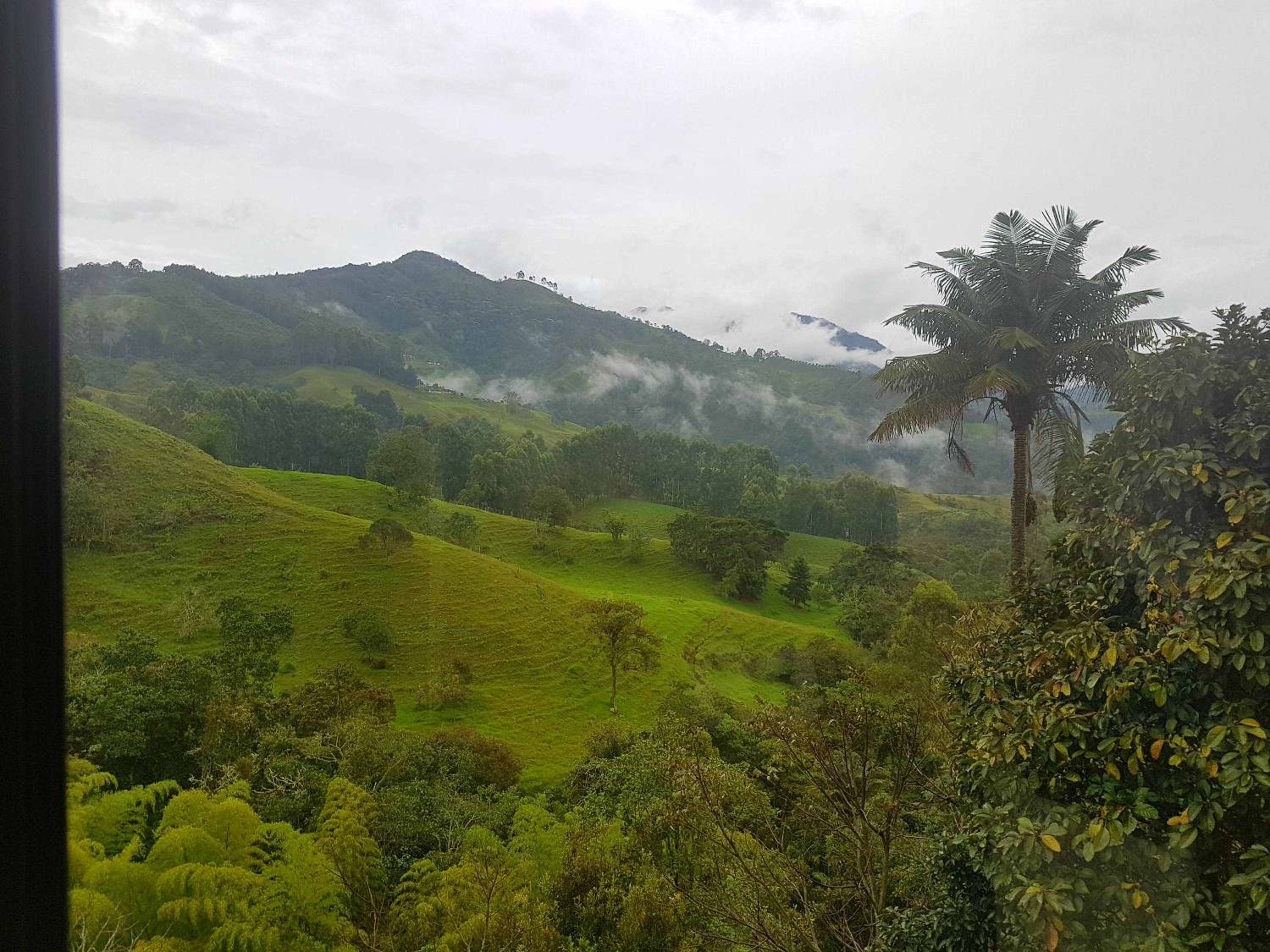 Mirador de los Cedros