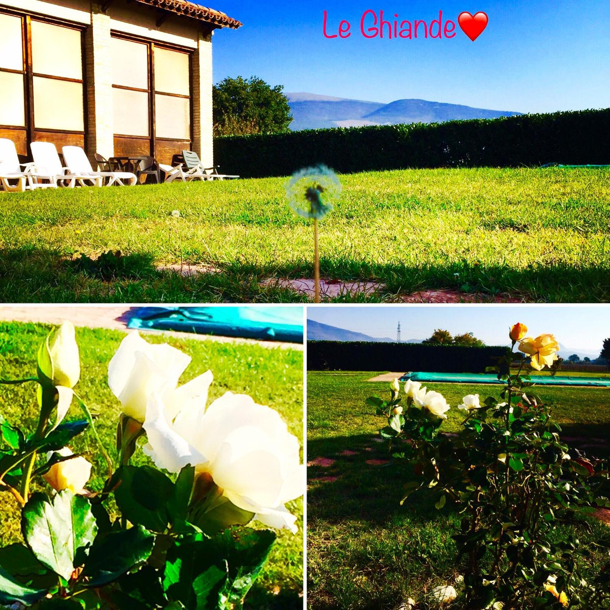 Le Ghiande