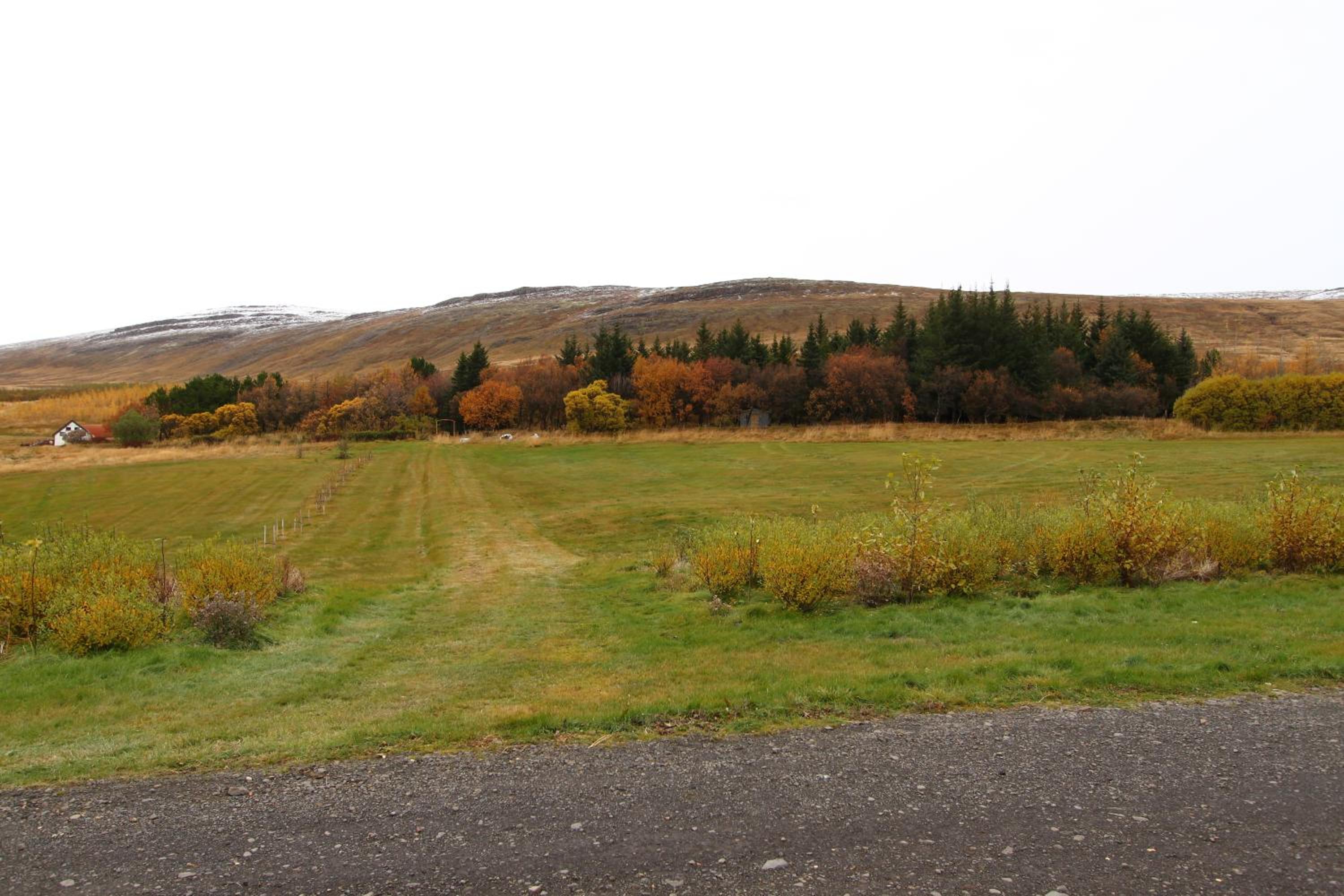 Guesthouse Steindórsstadir, West Iceland
