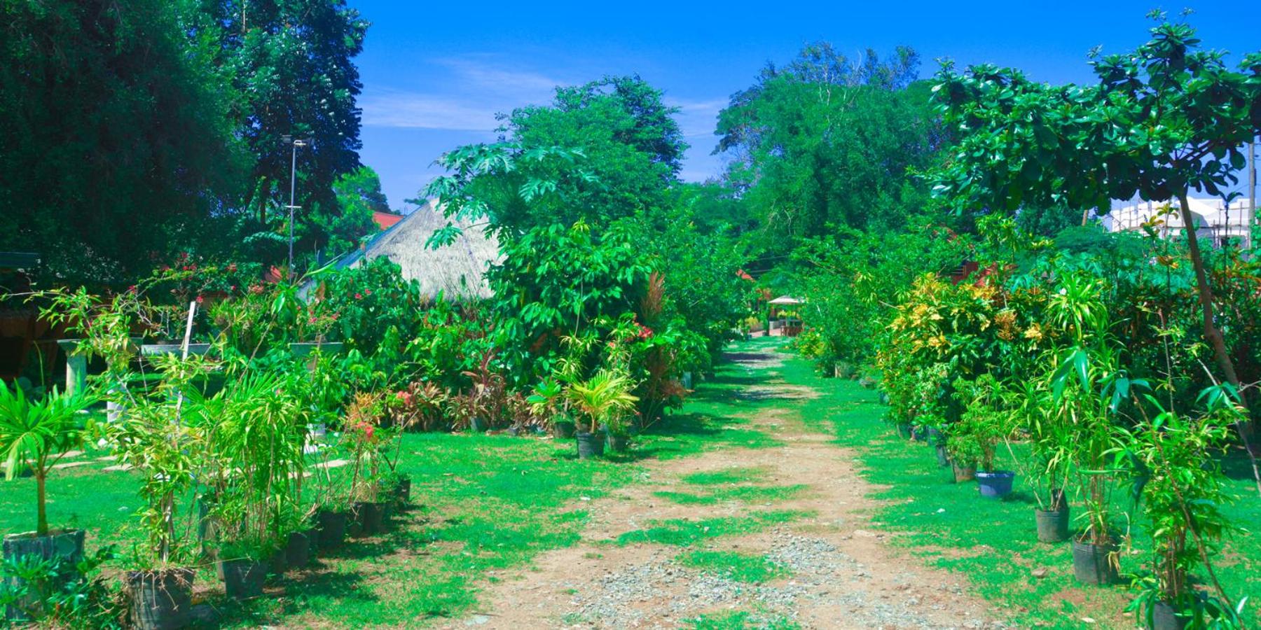 Michelle Pension, Puerto Princesa City - 16