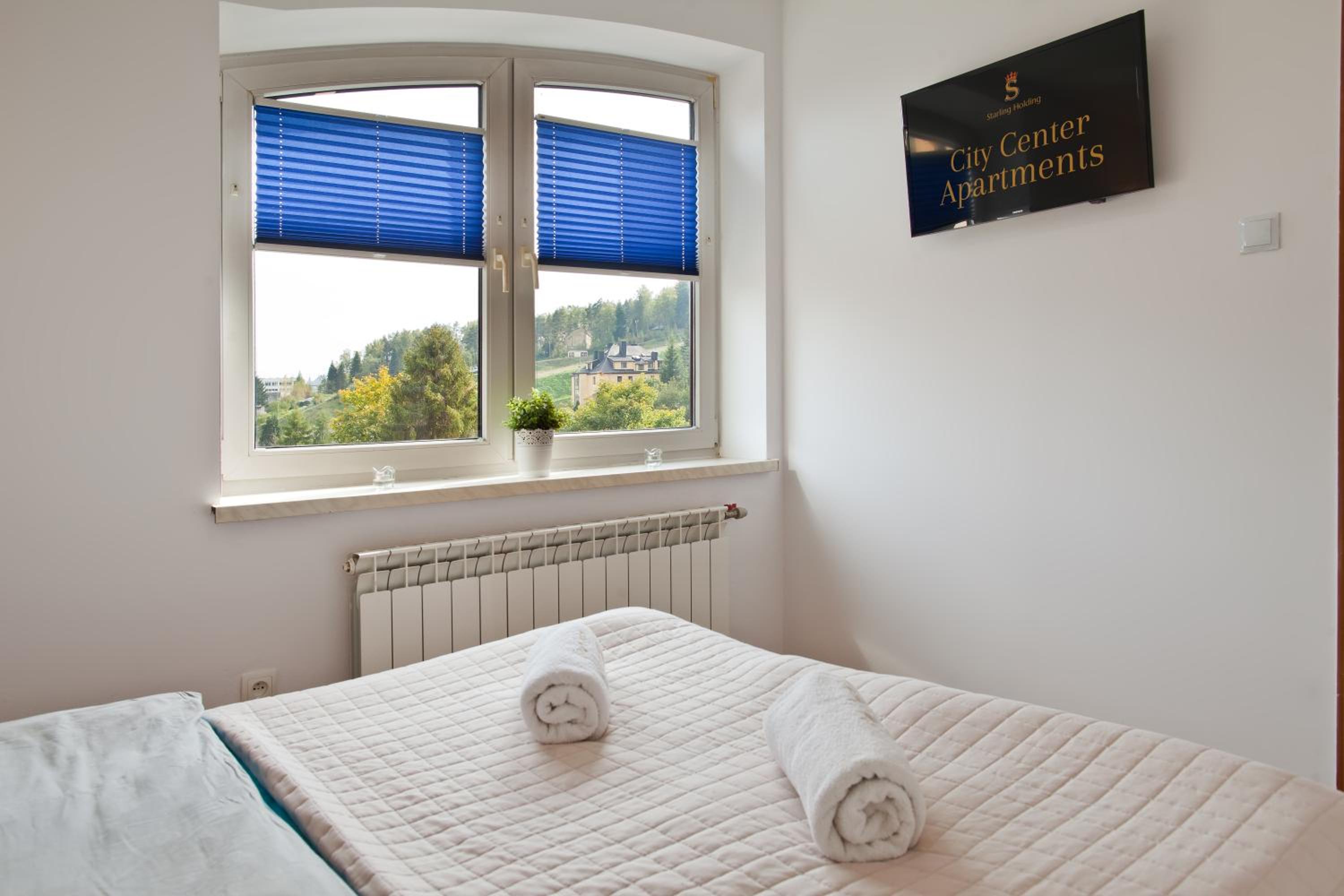 Apartament City Center Best View view 4