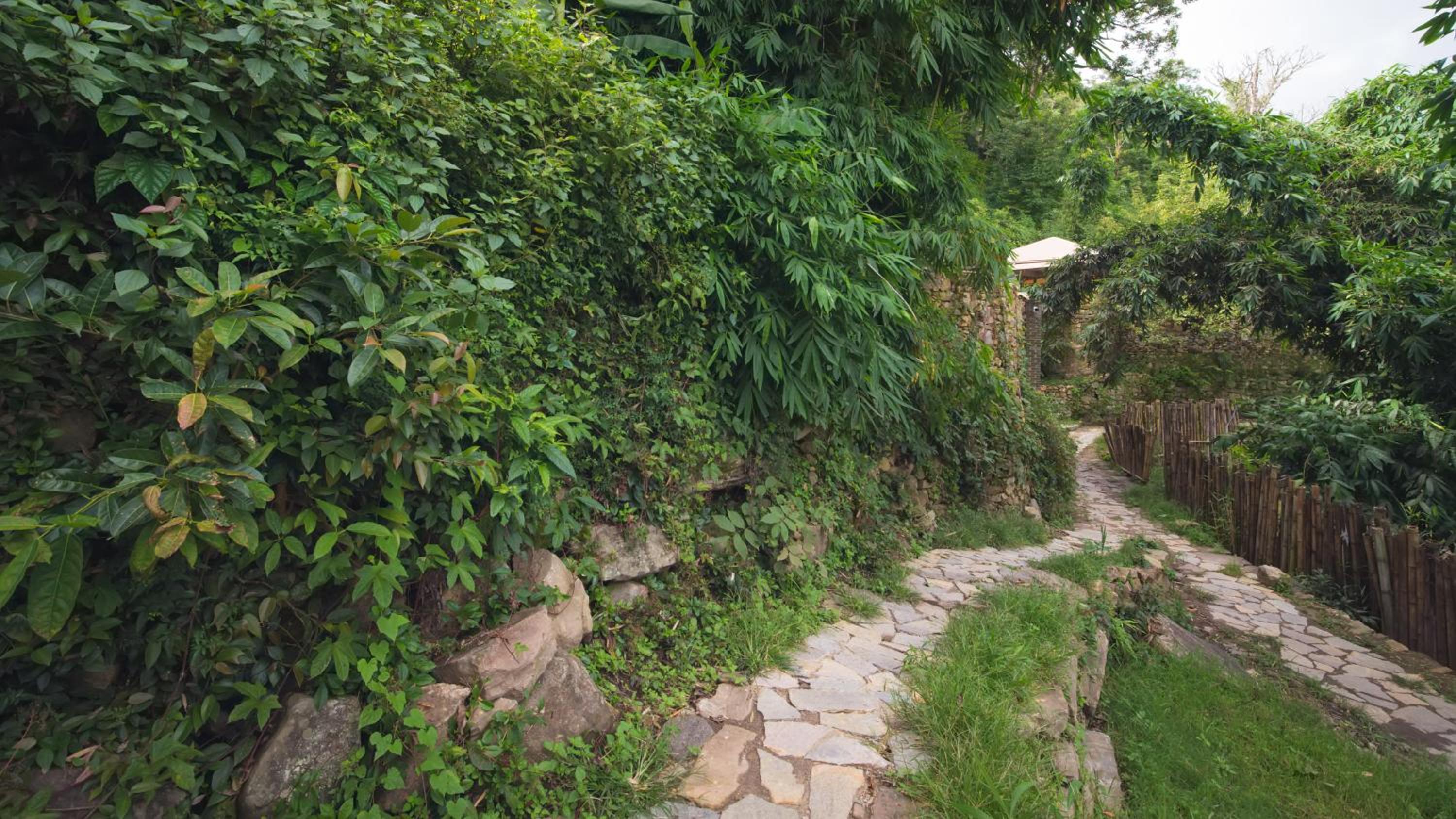 Vinetree Honghegu Tented Resort