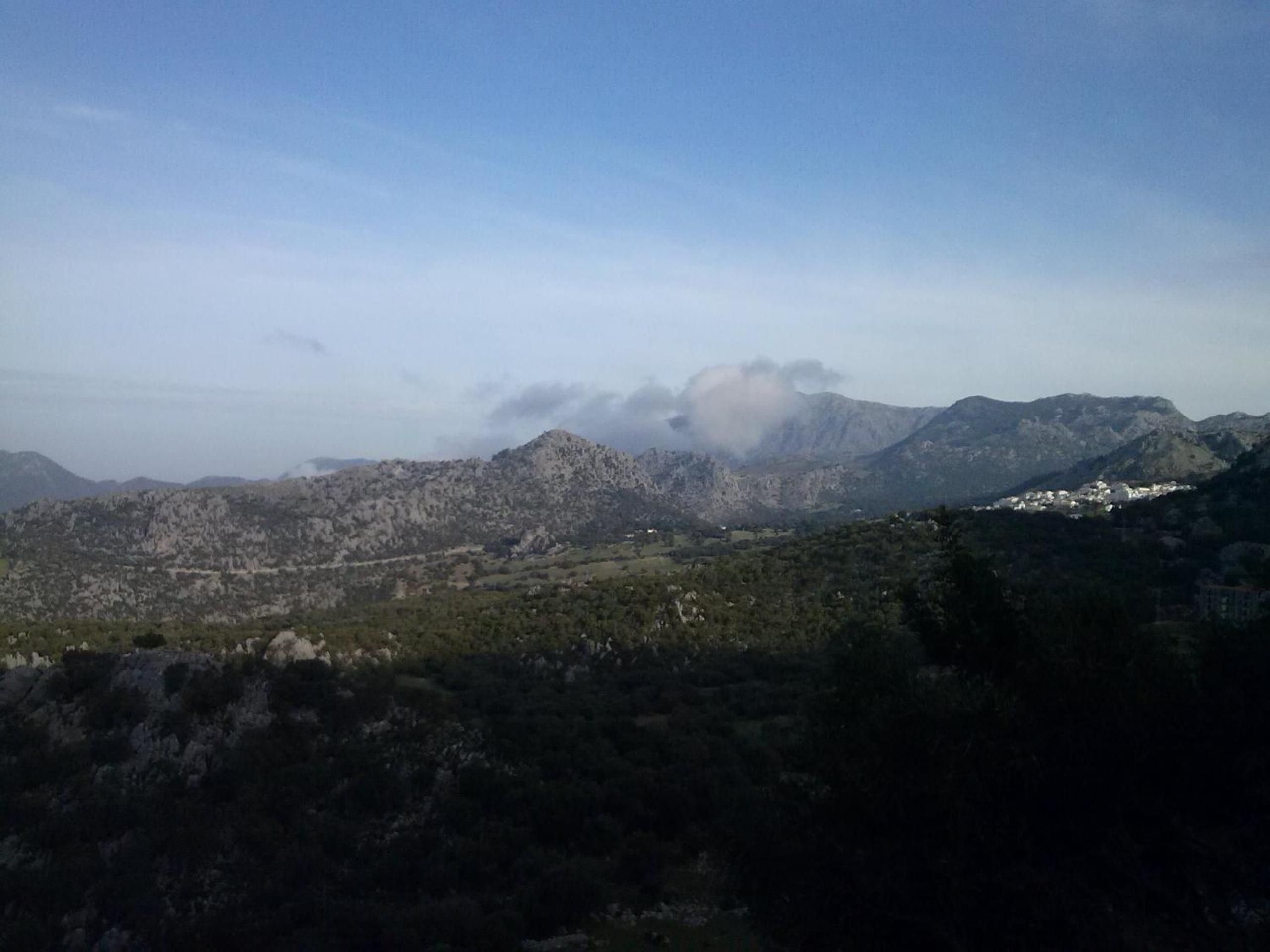 Photo 26