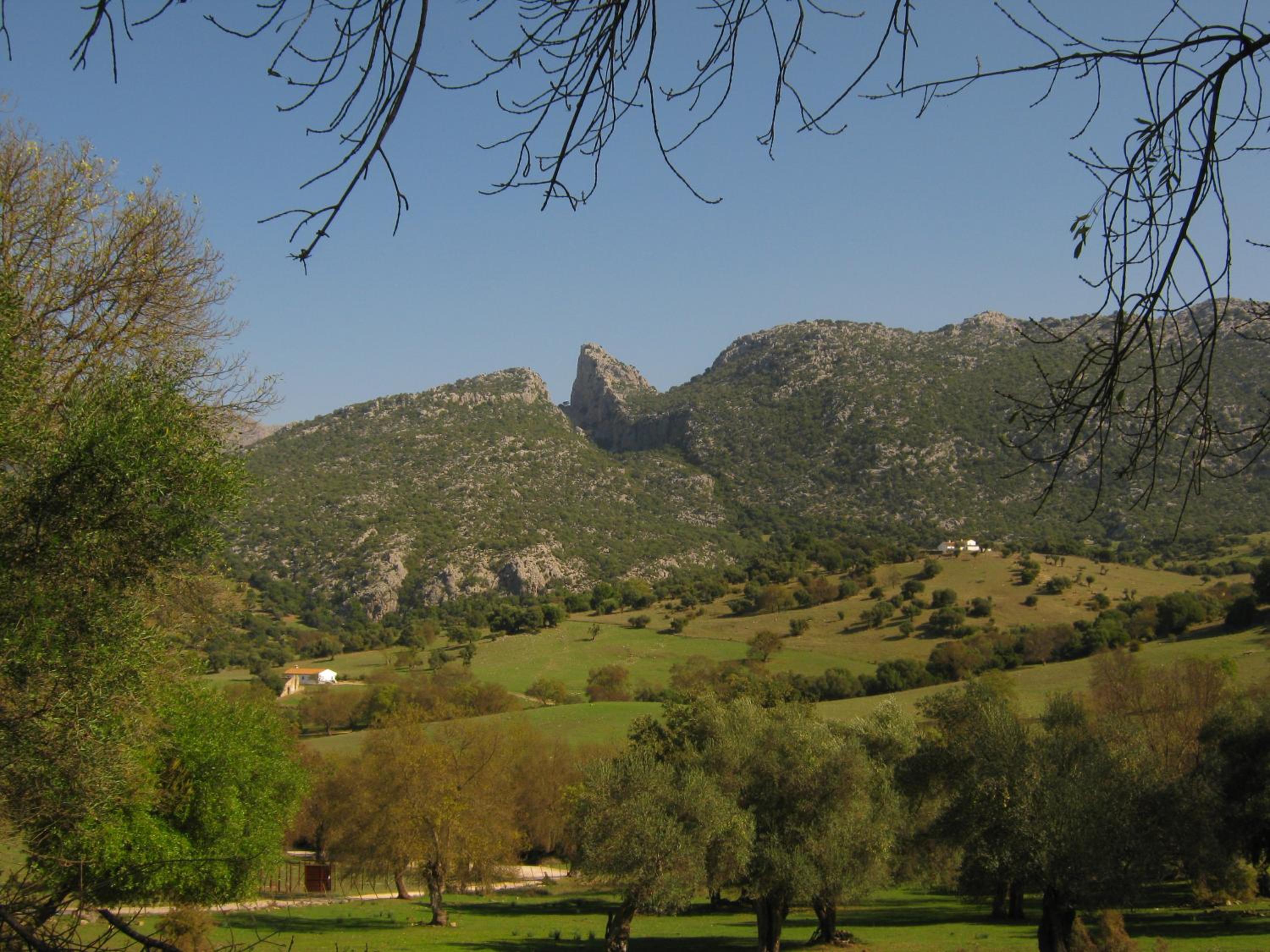 Photo 25