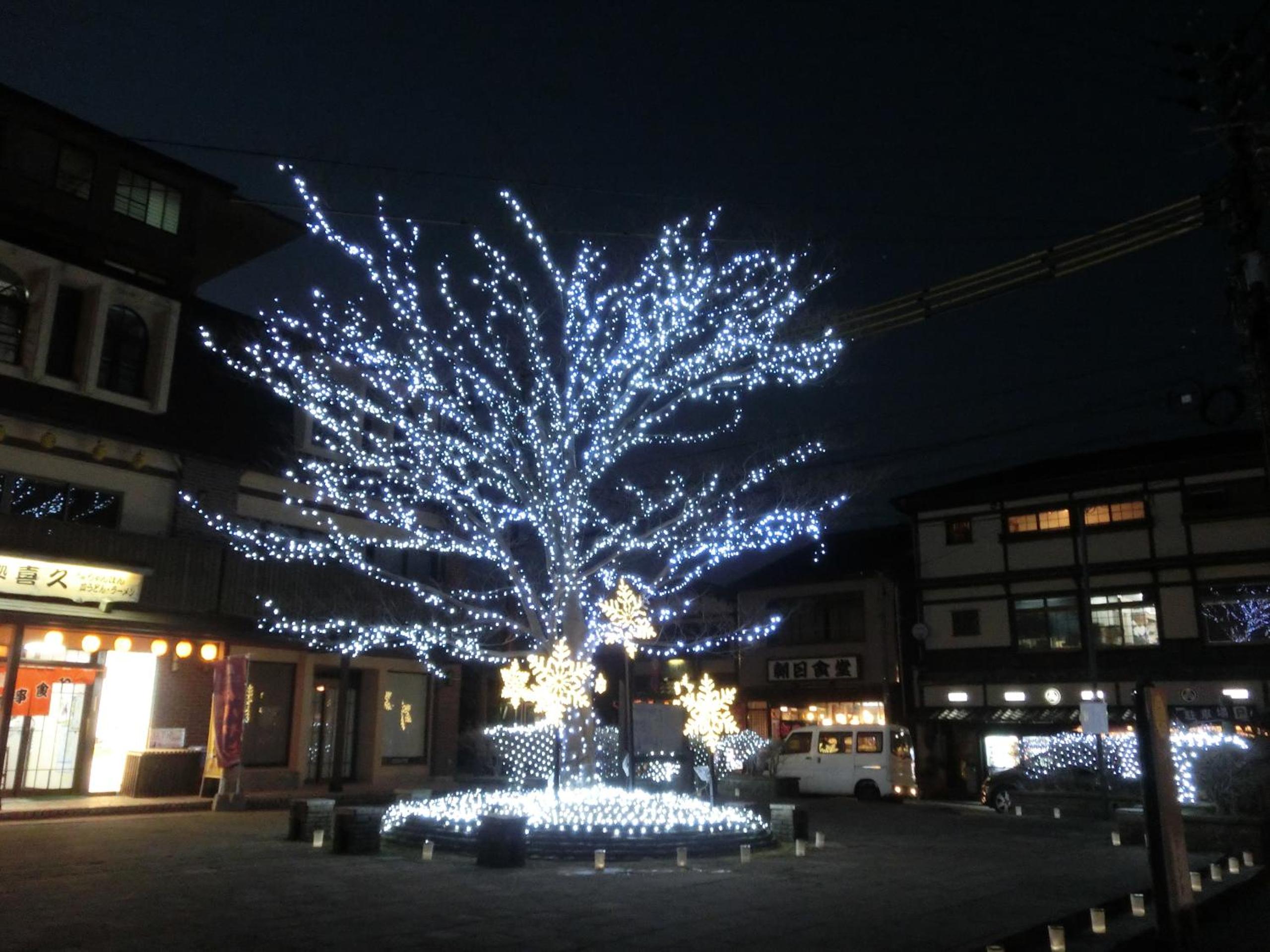 Photo 42