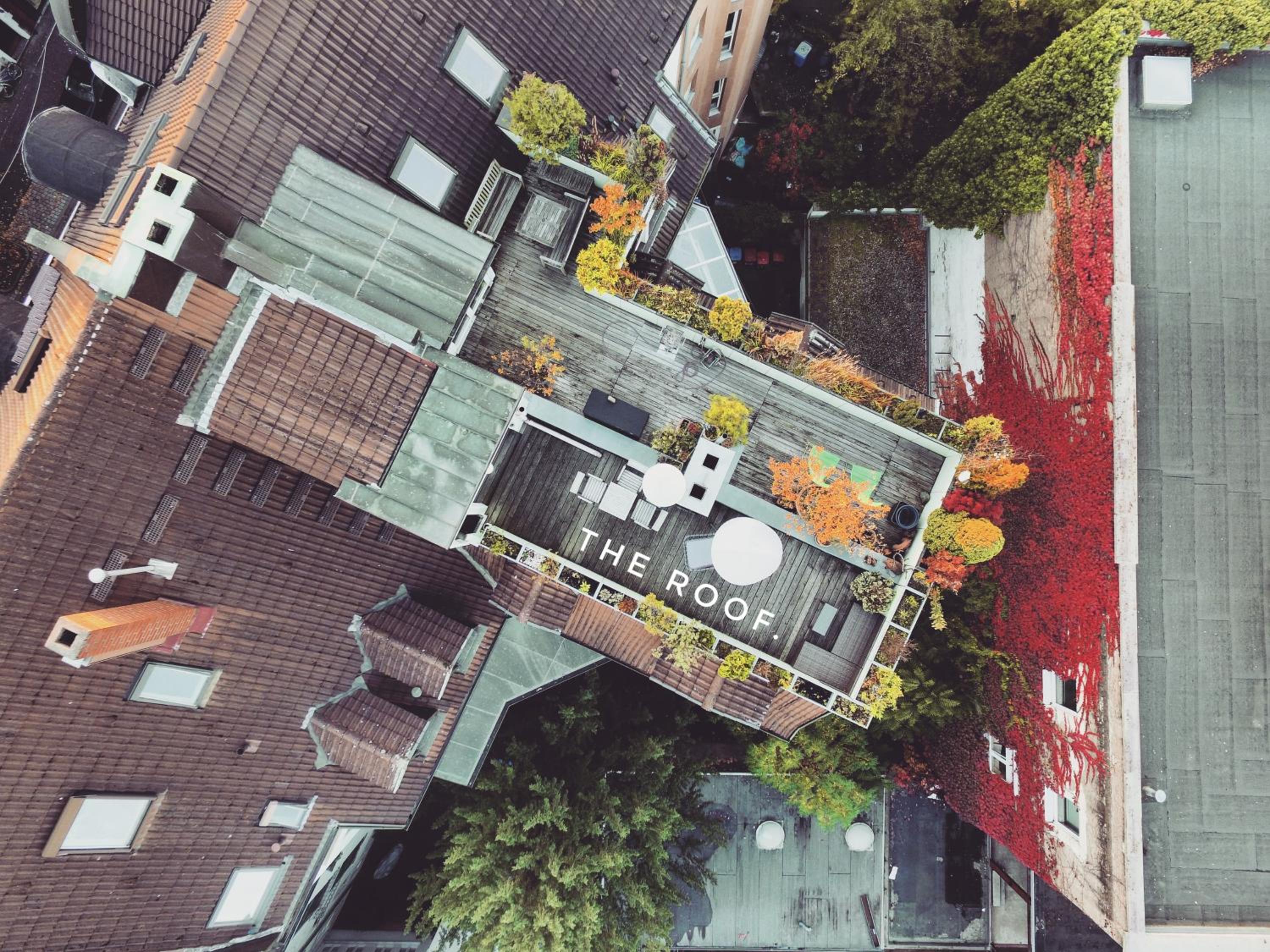 roof