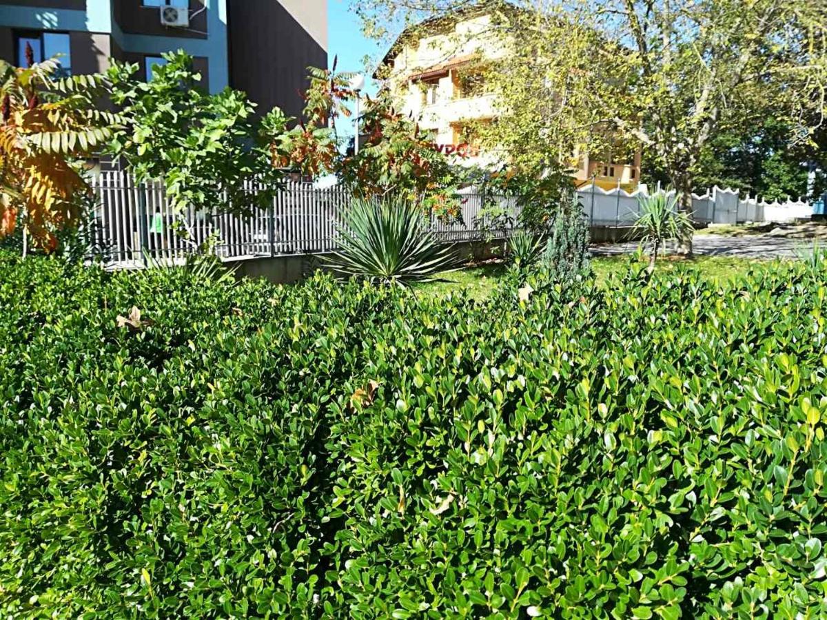 garden