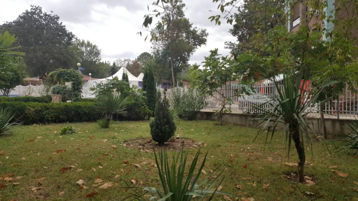 garden