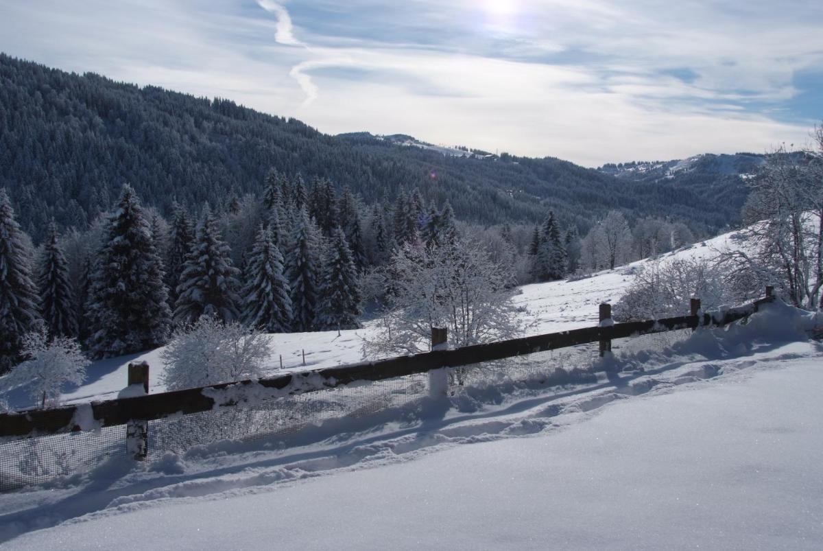Le Roy des Montagnes à la Ferme des Ramus view 4