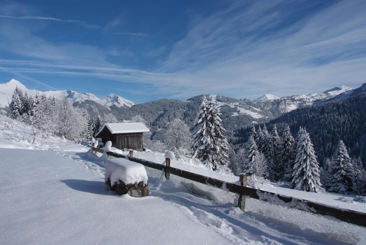 Le Roy des Montagnes à la Ferme des Ramus view 5