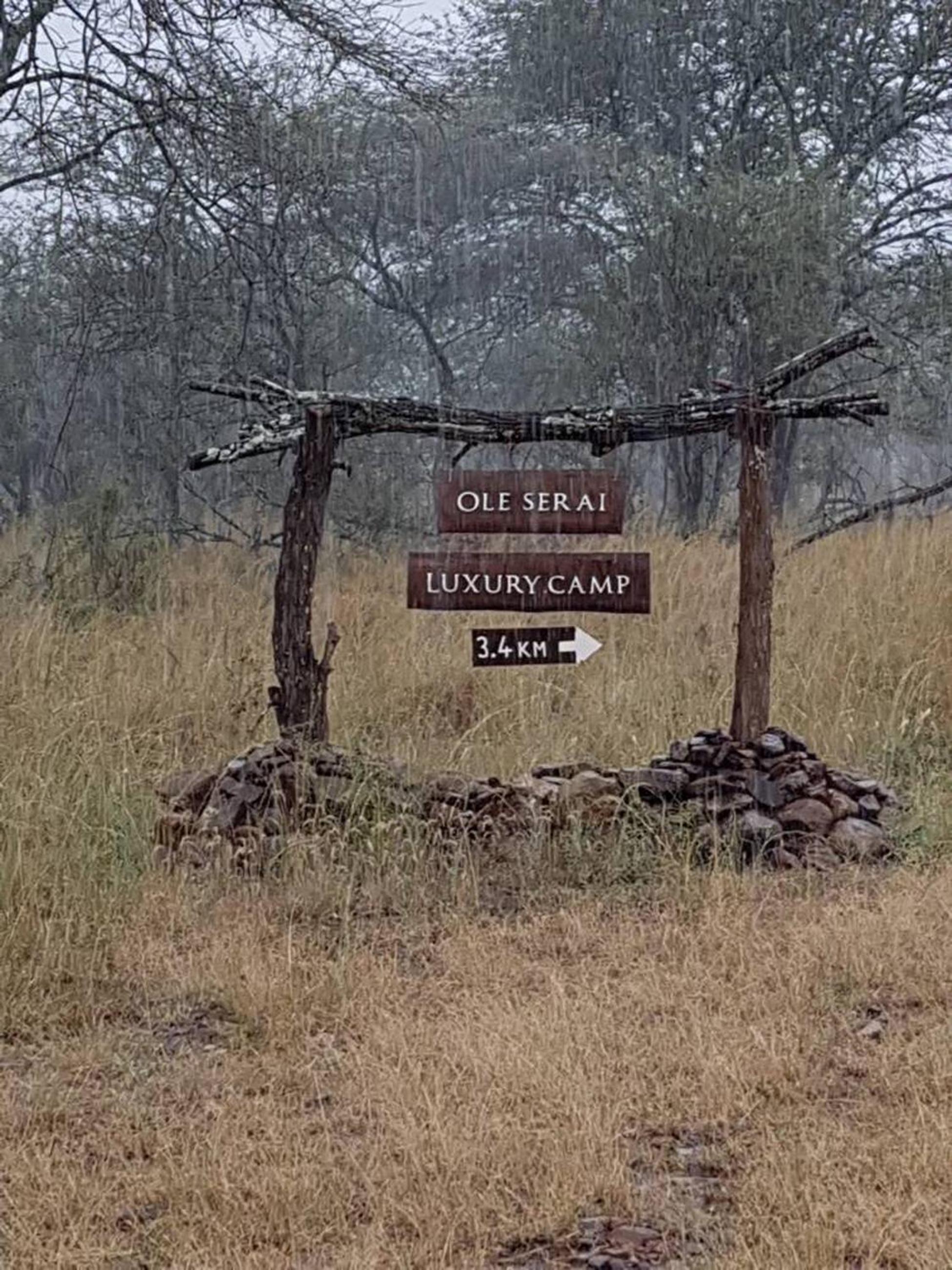 Wellworth Ole Serai Luxury Camp - Moru Kopjes view 4