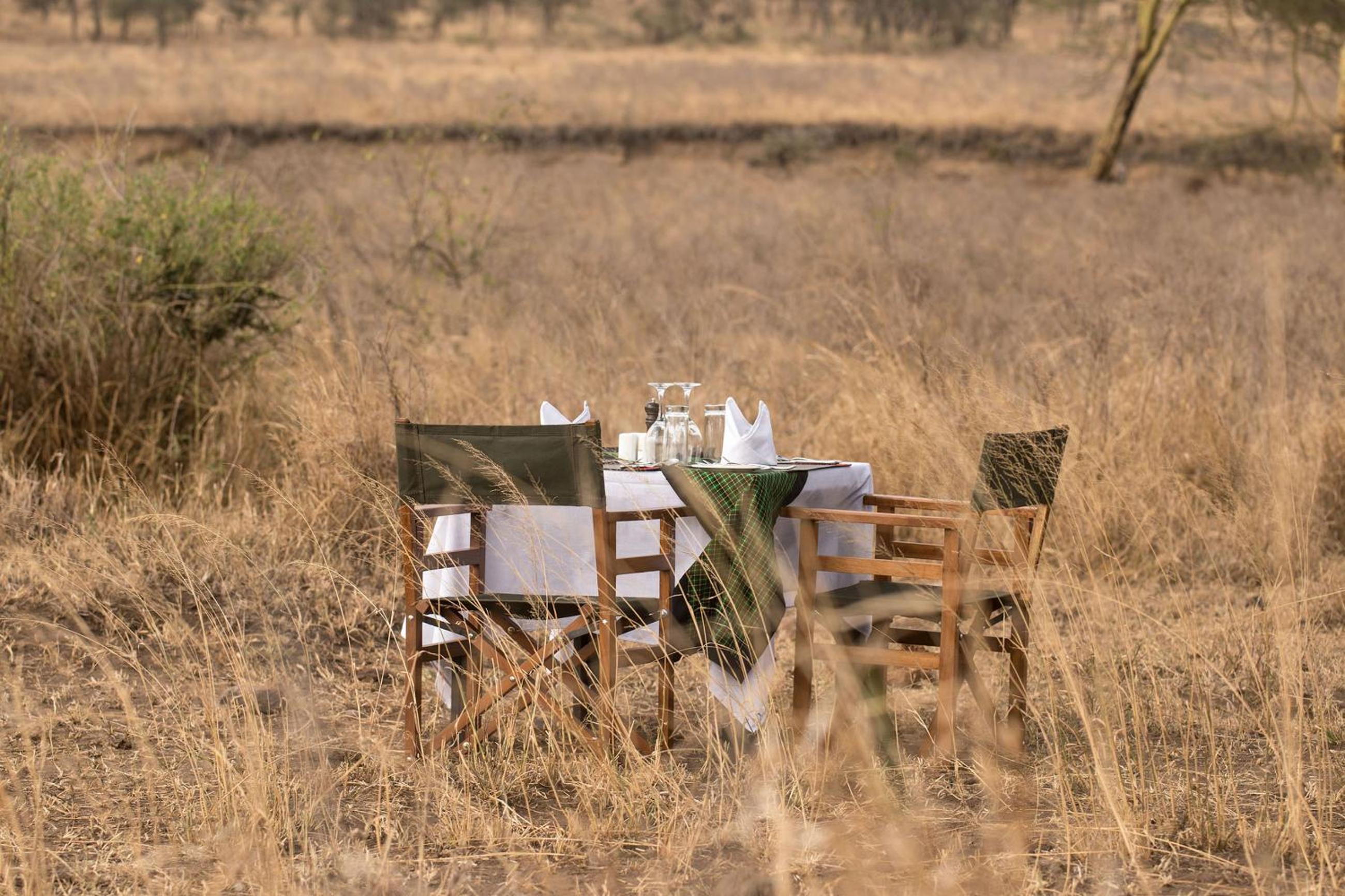 Wellworth Ole Serai Luxury Camp - Moru Kopjes view 5