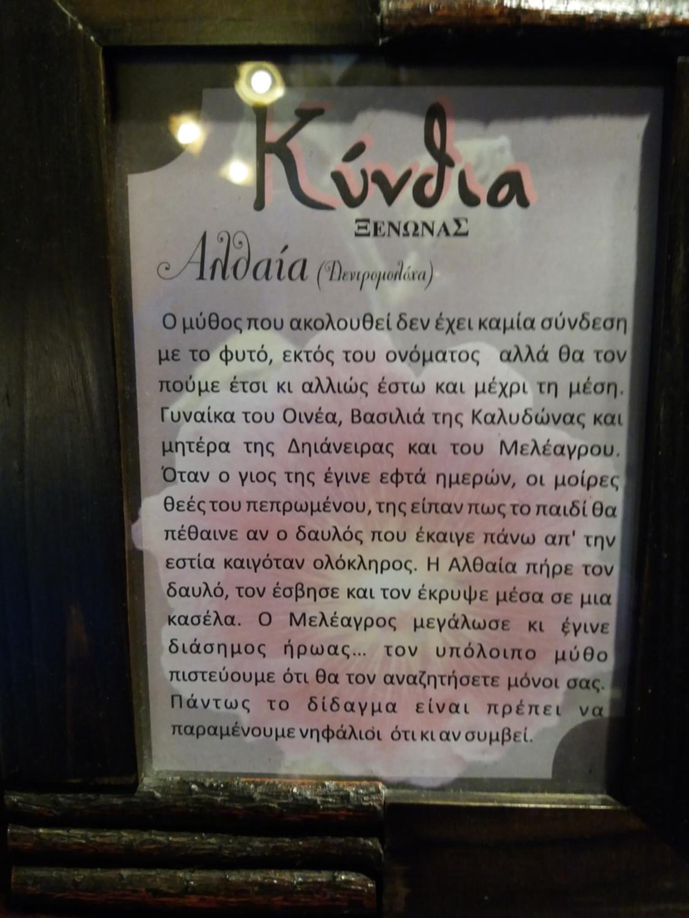 Kynthia Guesthouse