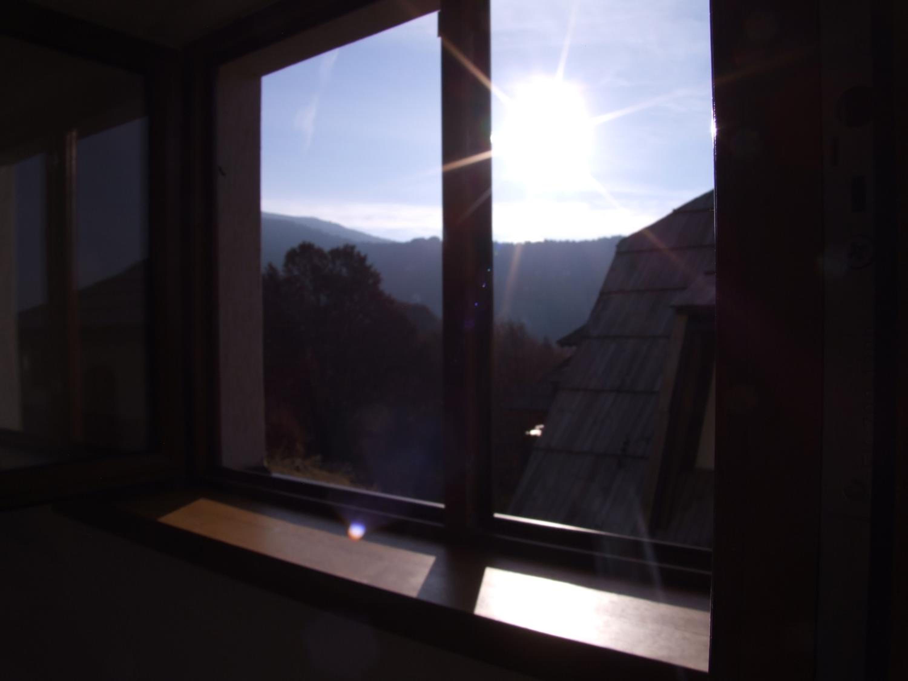 Apartments Mitic