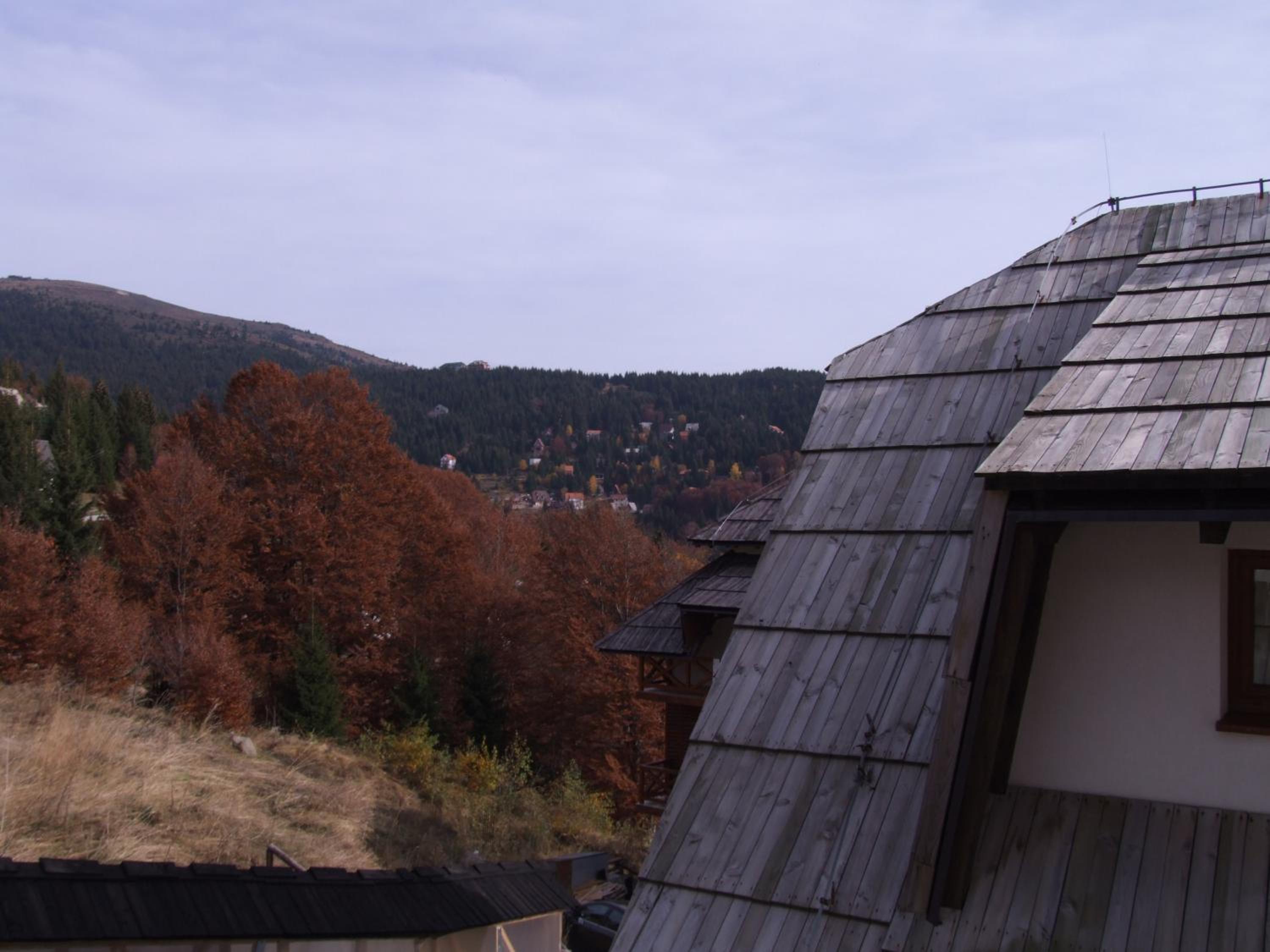 Apartments Mitic