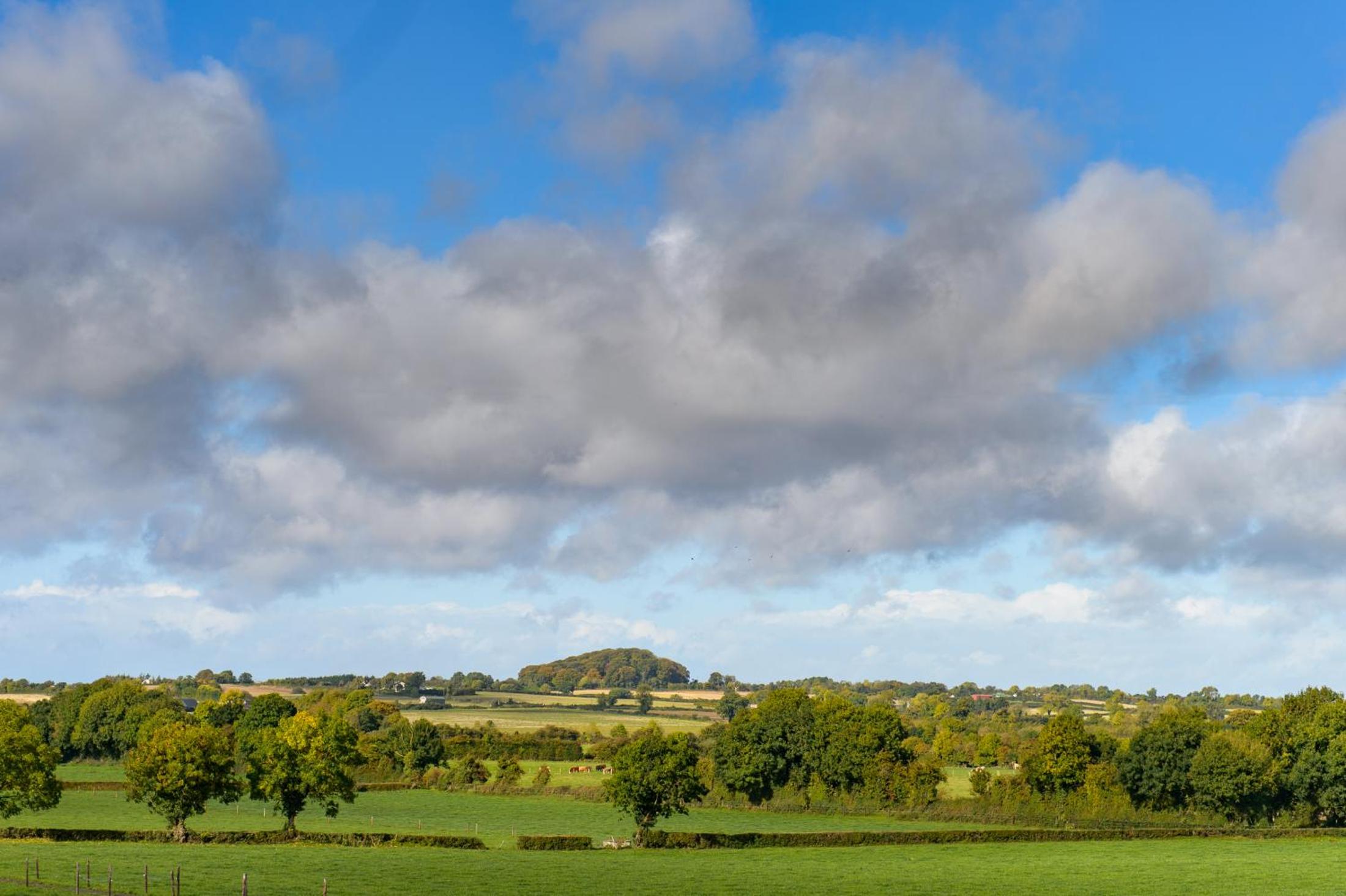 Ballindrum Farm B&B