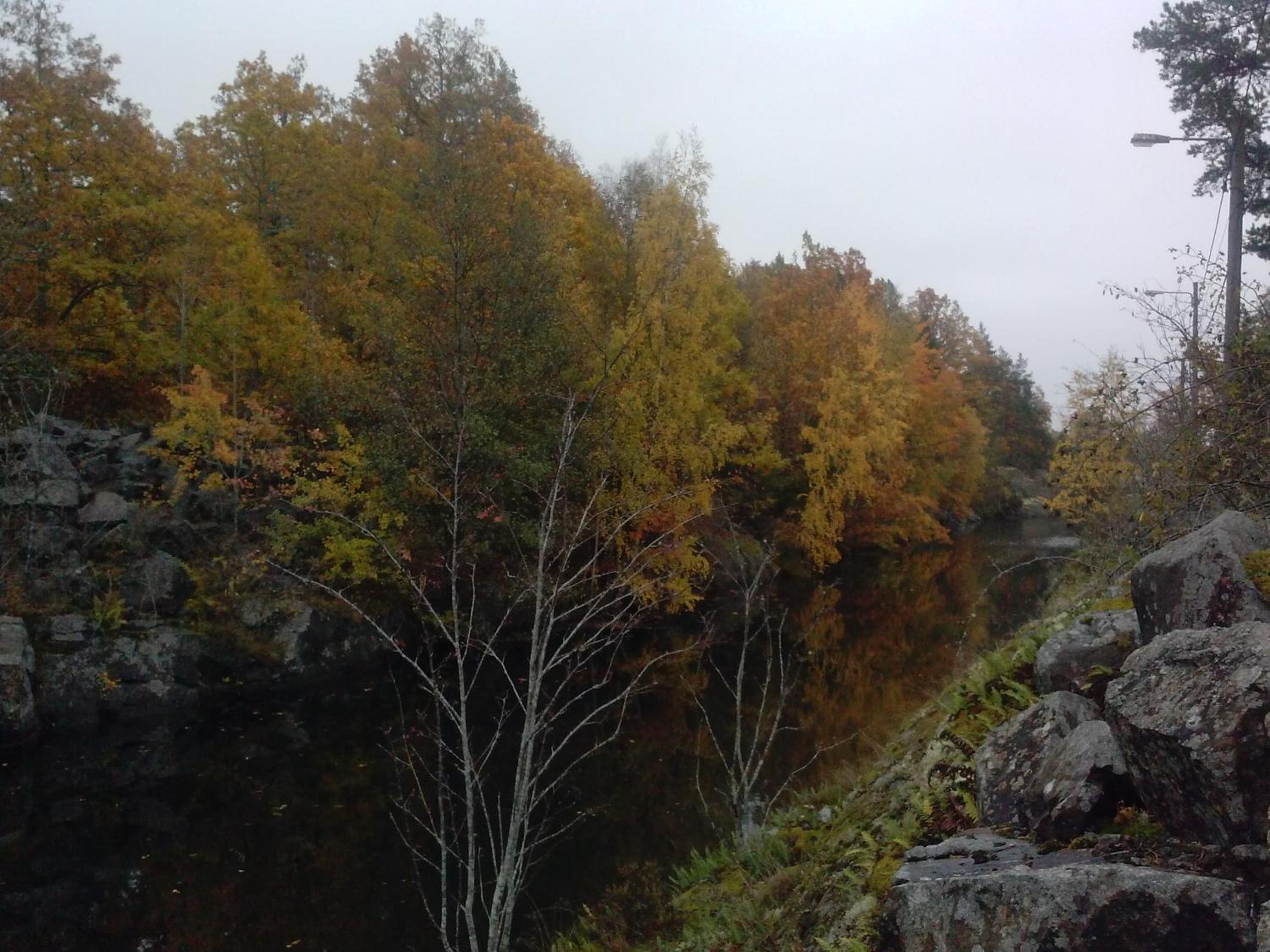Photo 33