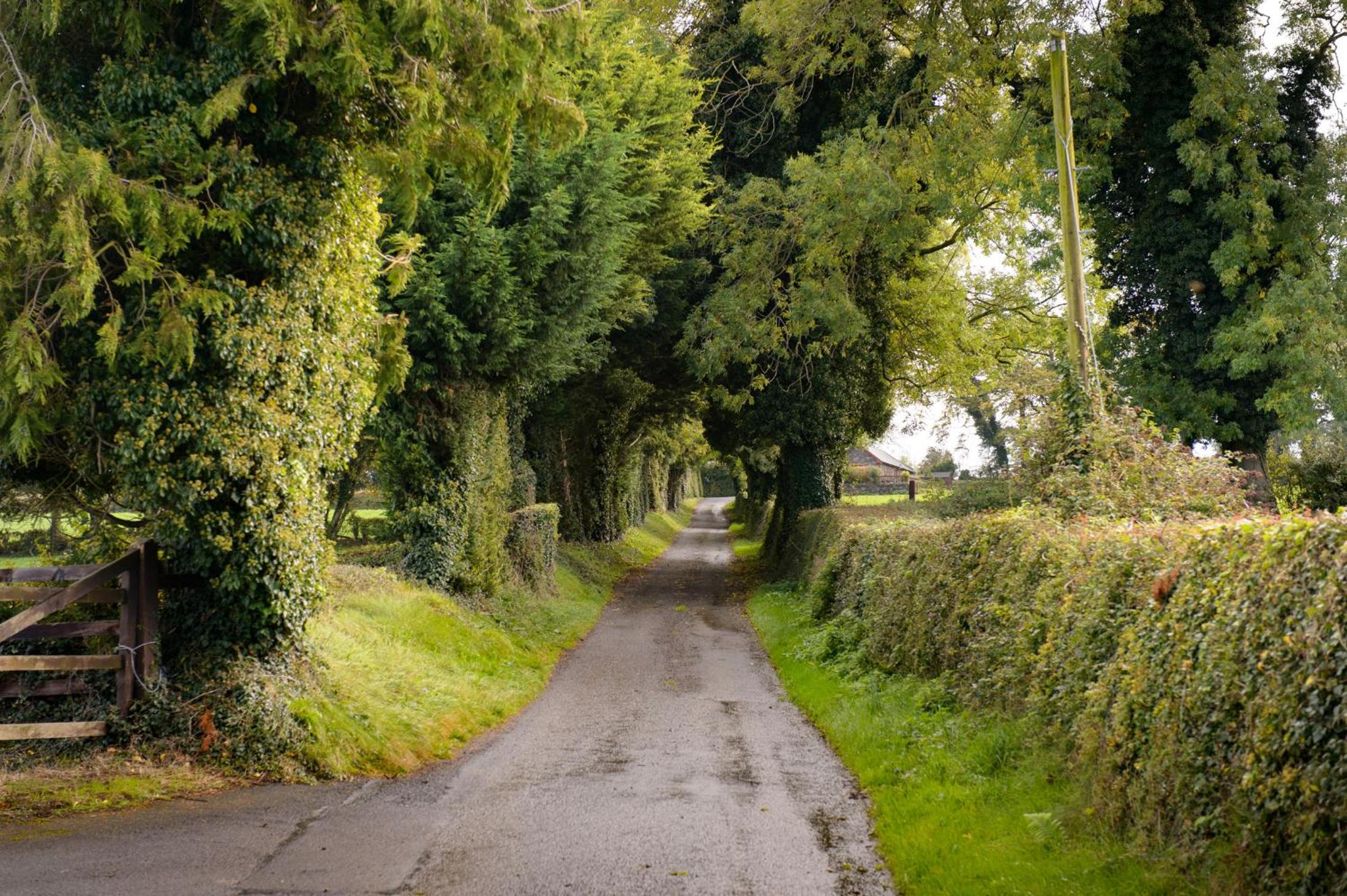 Ballindrum Farm B&B