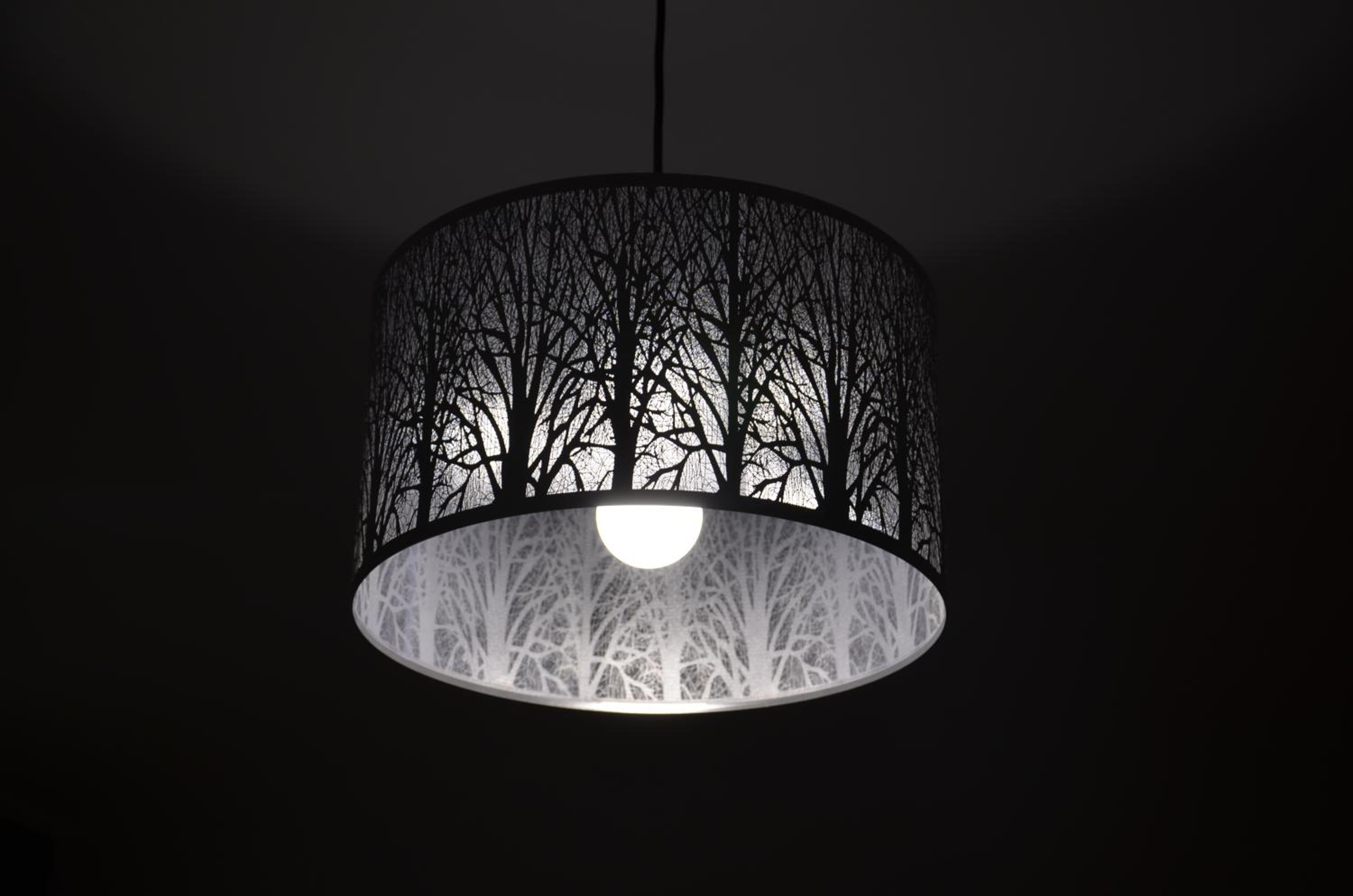 Photo 33