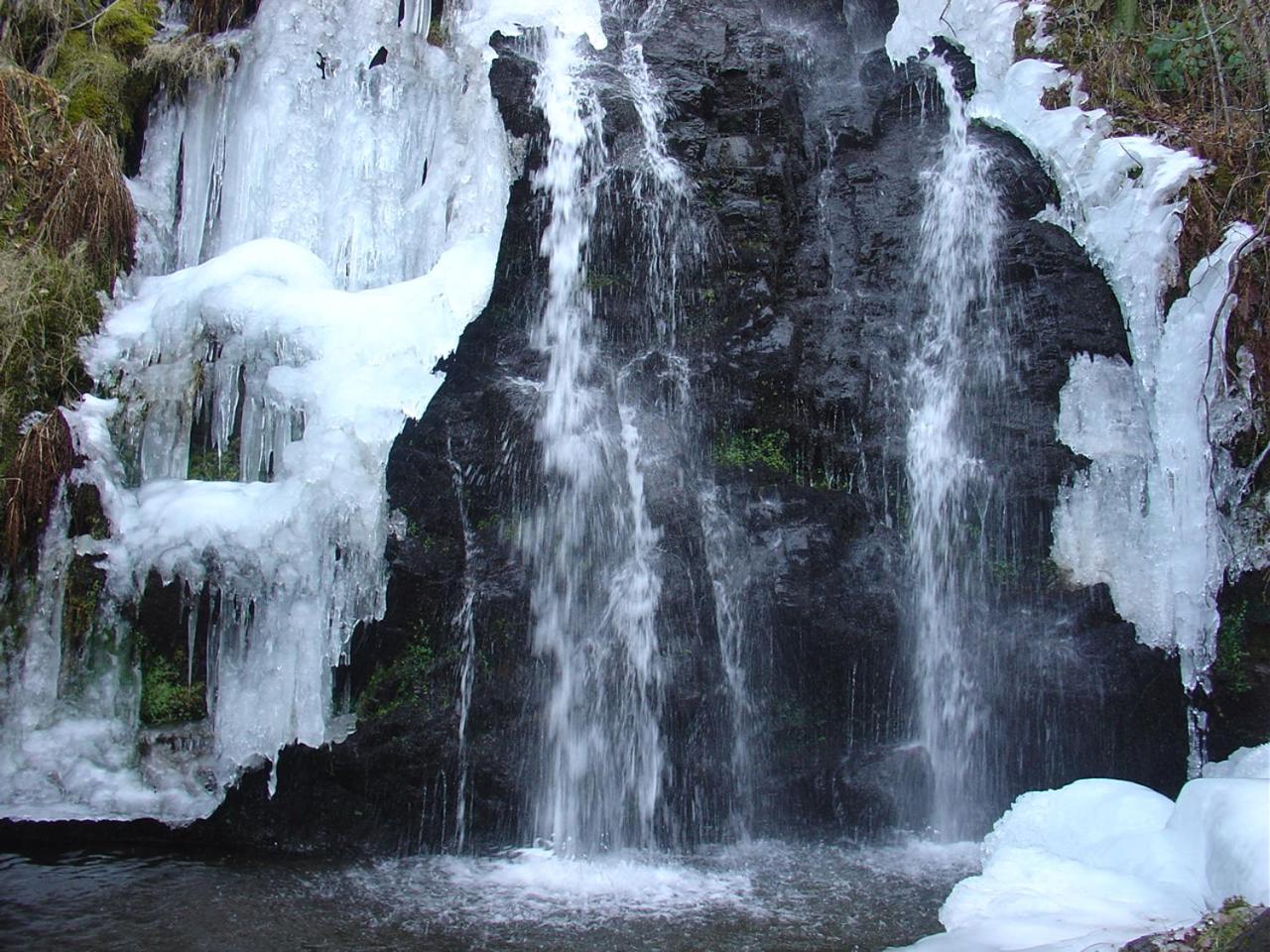 Photo 50