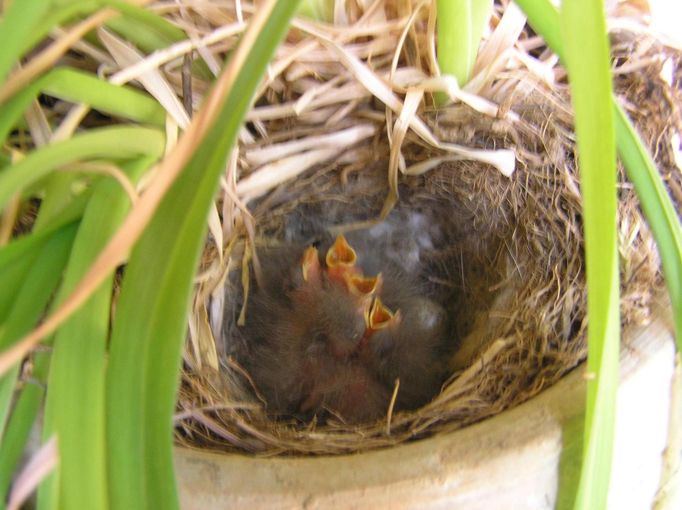 Photo 46