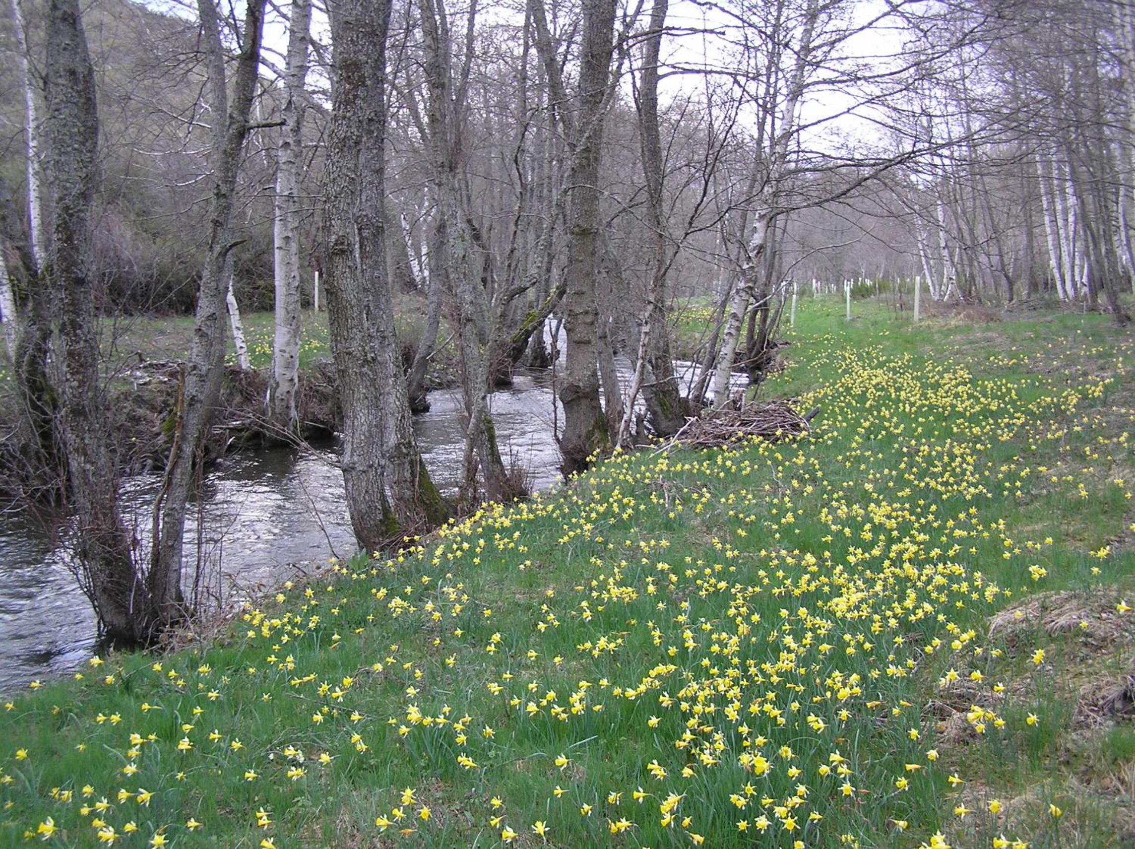 Photo 45