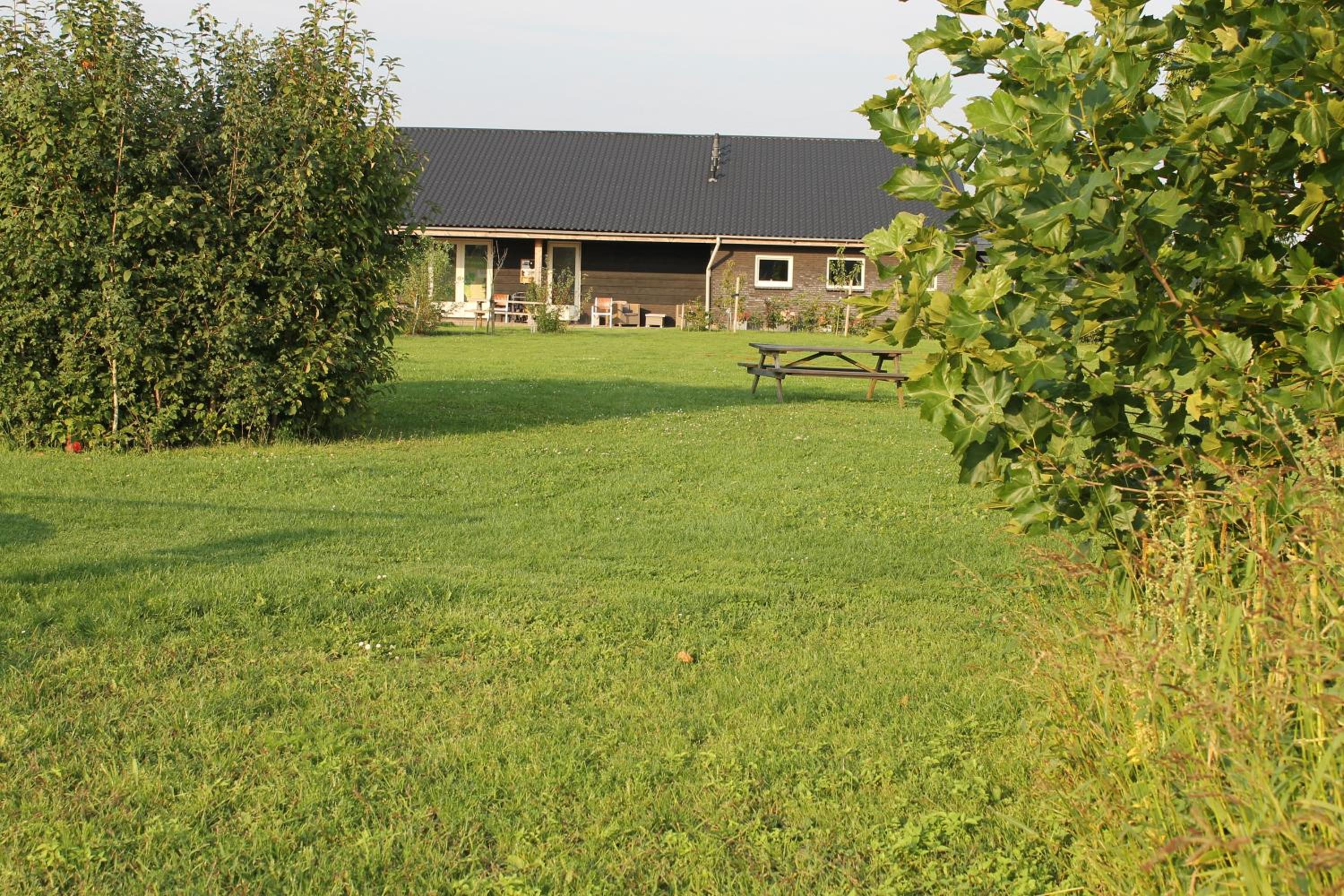 Photo 7