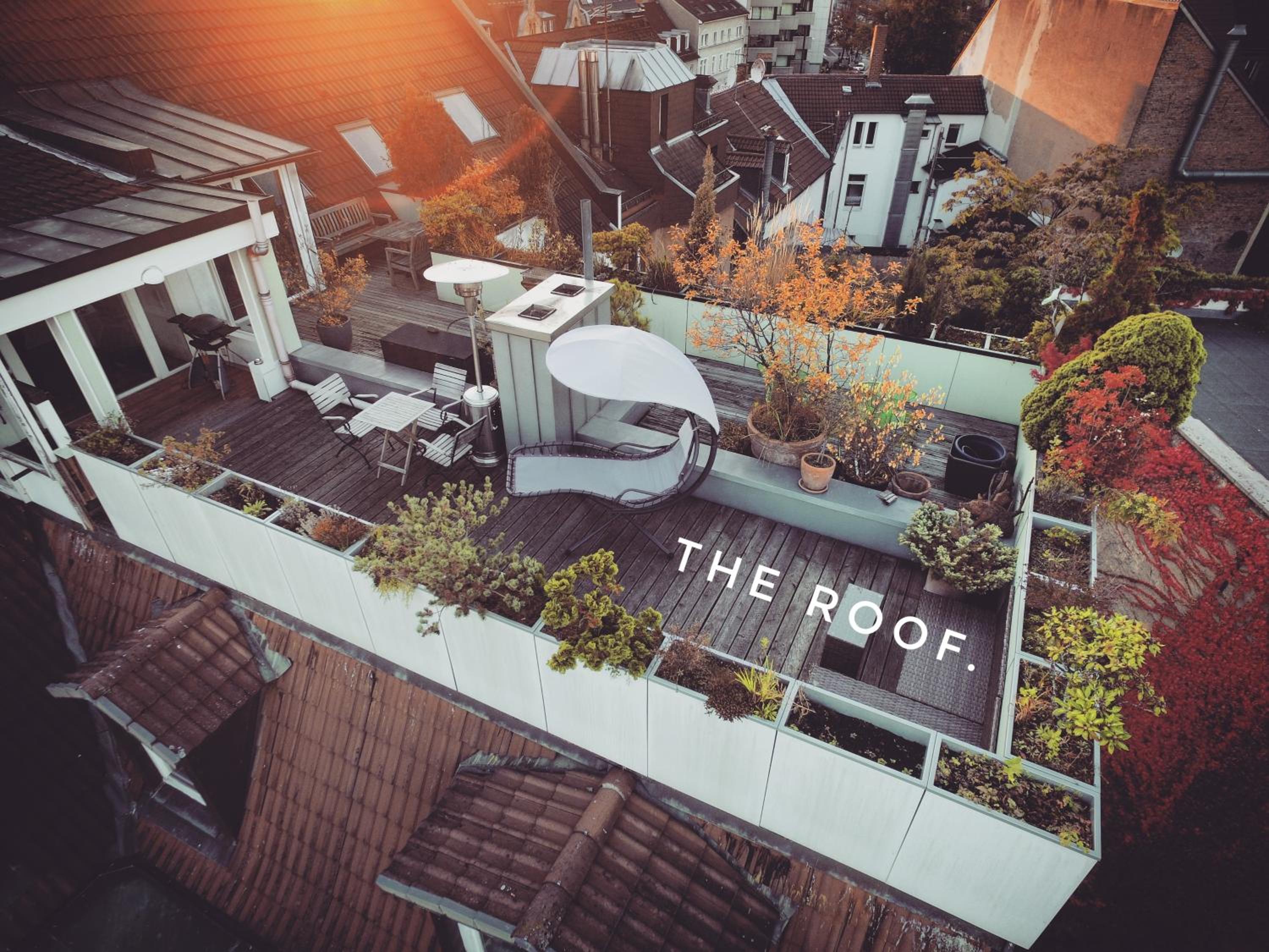 roof