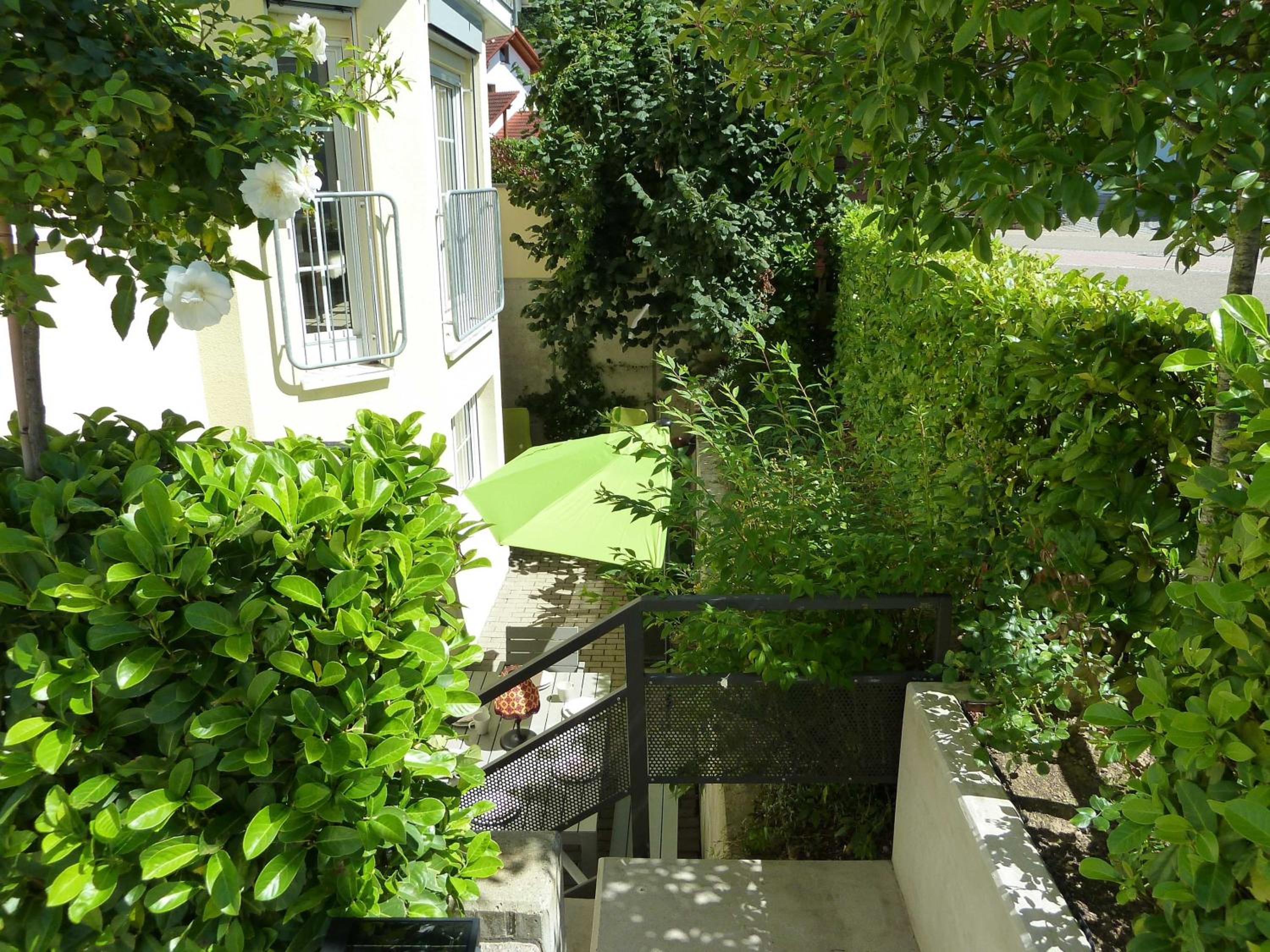 Photo 31