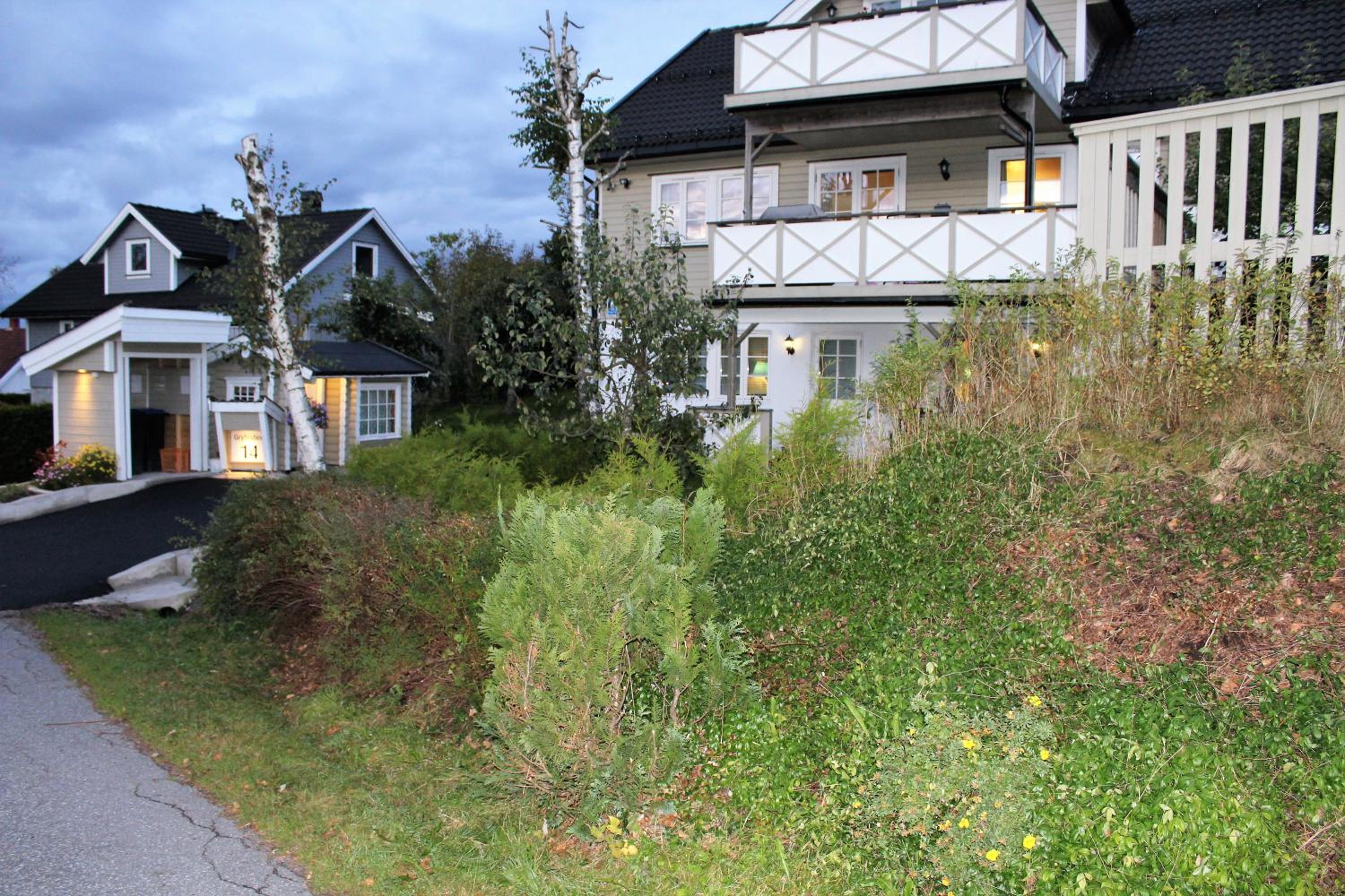 Photo 29