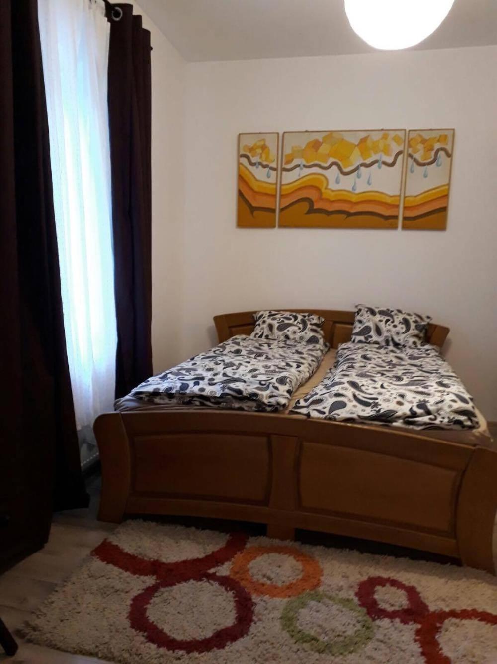 Casa Oprea view 4