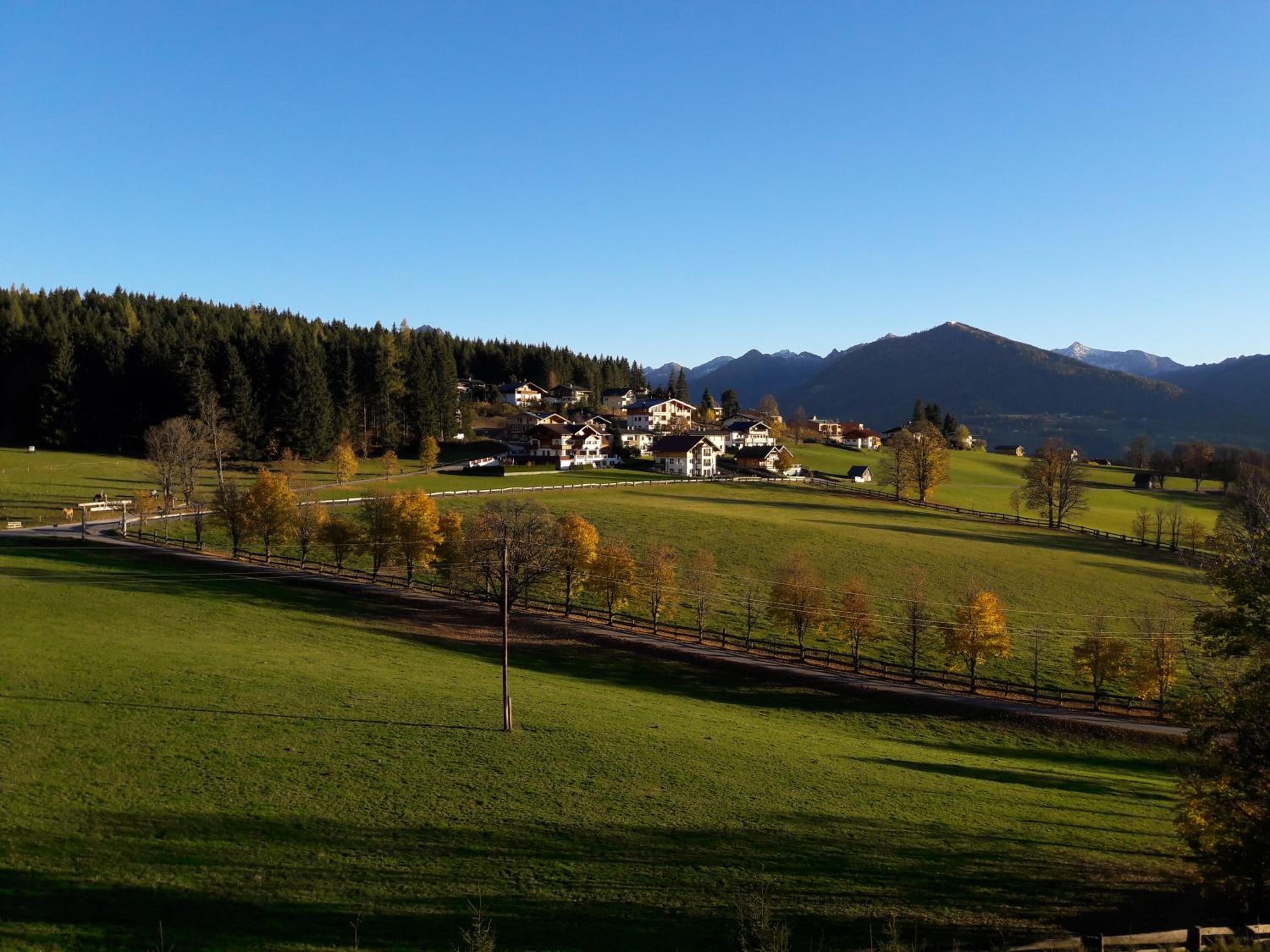 Pension Felsenheim