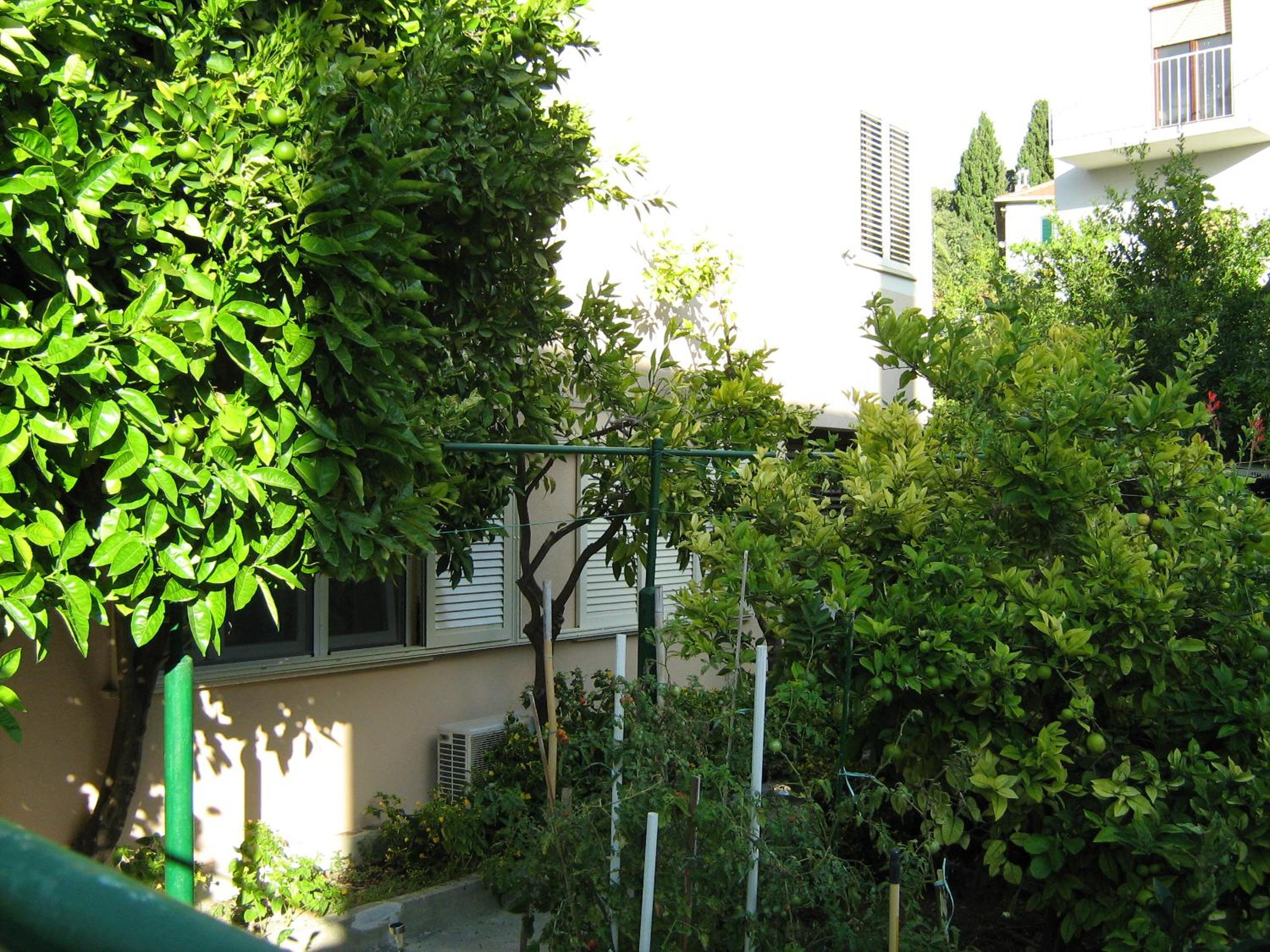 Photo 34