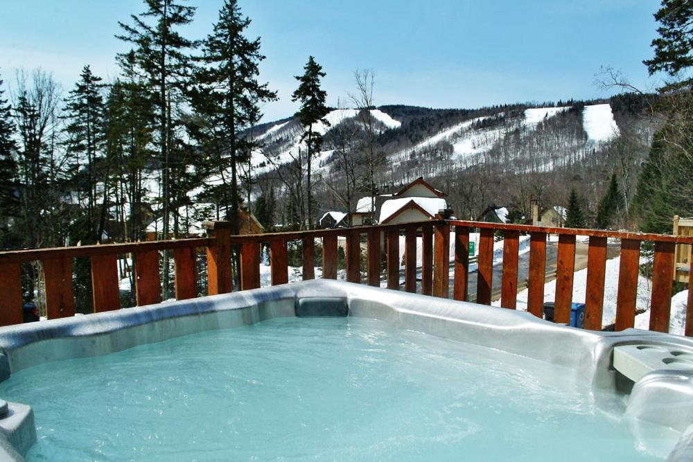 Chalets Alpins - 12 Chemin Alpin view 4