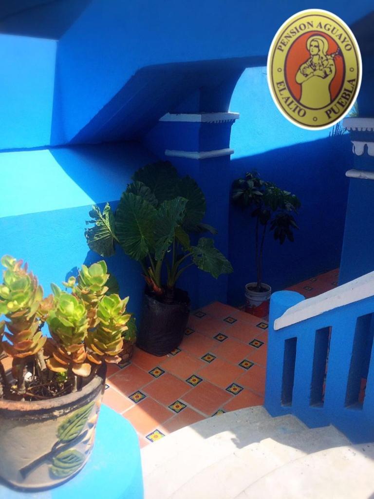 Photo 52